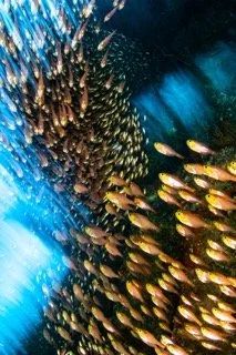 red sea-13 Small.jpeg