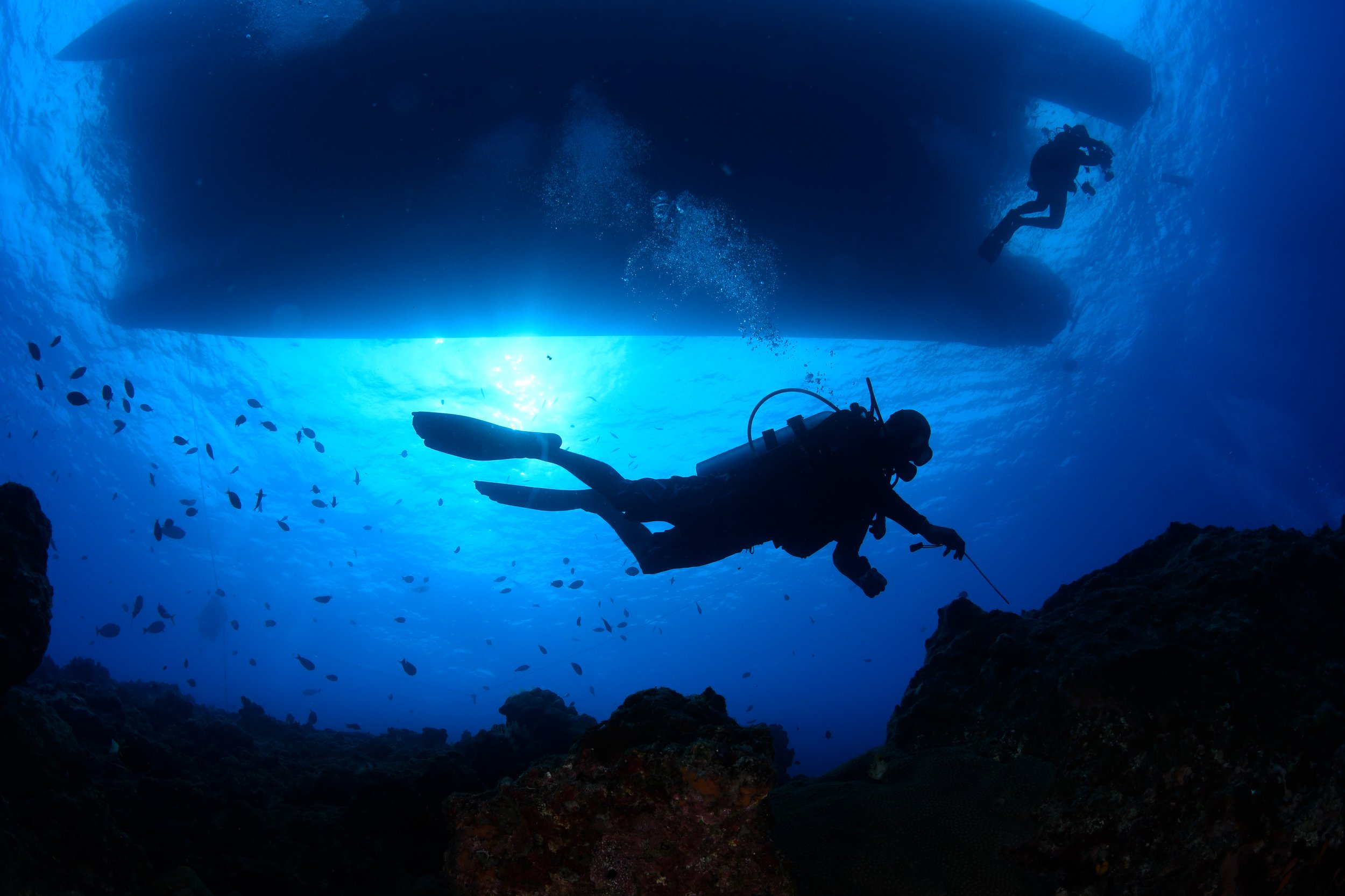 Catherine Holmes-27.jpg