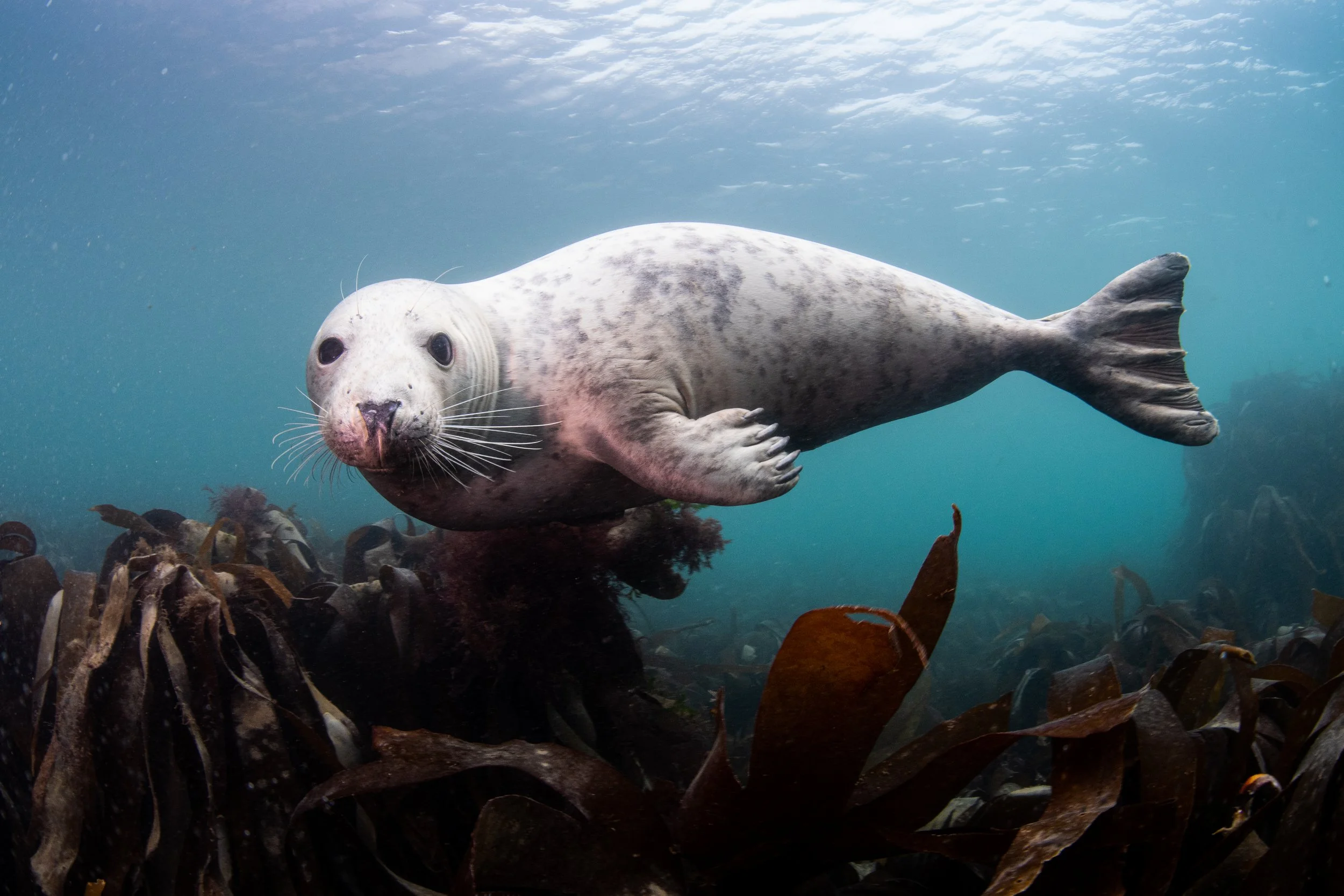 Catherine Holmes-11.jpg