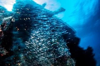 wide angle red sea-6 Small.jpeg