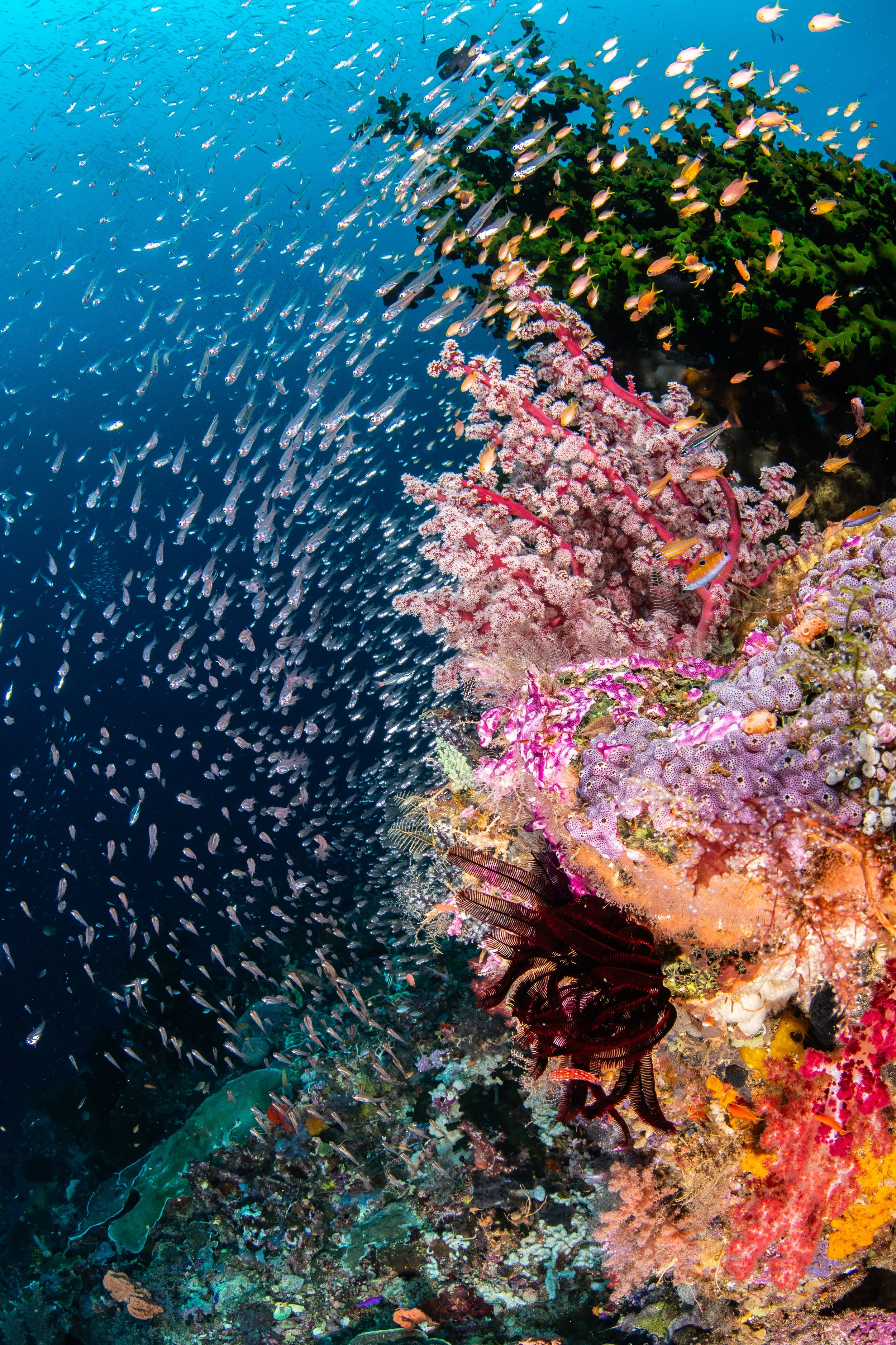 Catherine Holmes-42.jpg