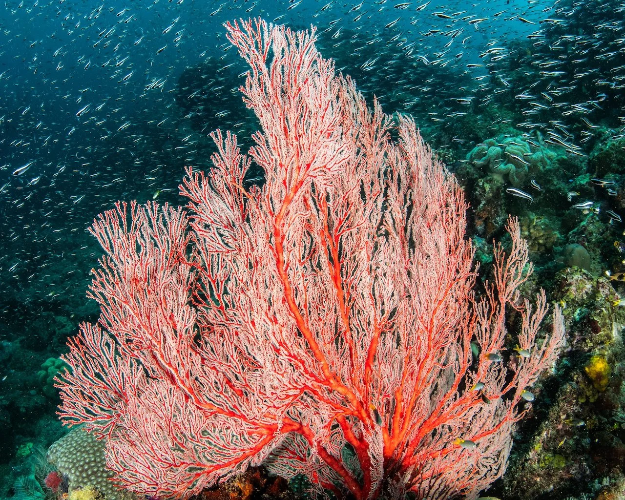 Catherine Holmes-49.jpg