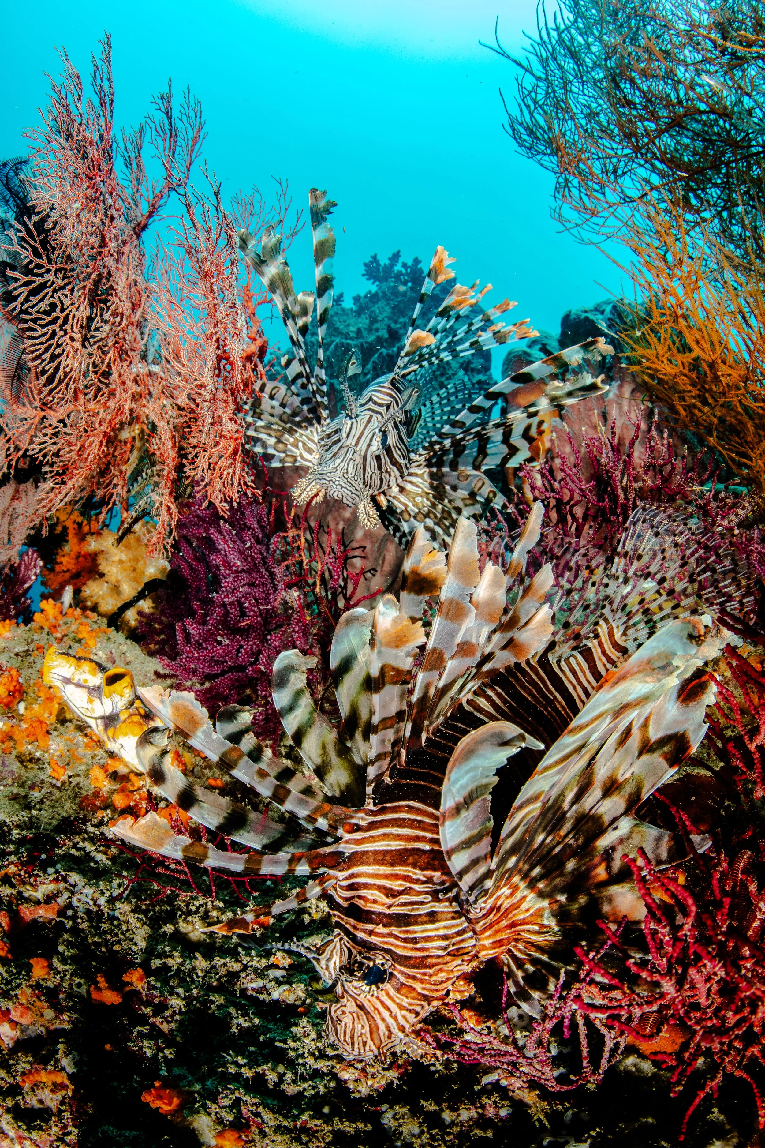 Catherine Holmes-51.jpg