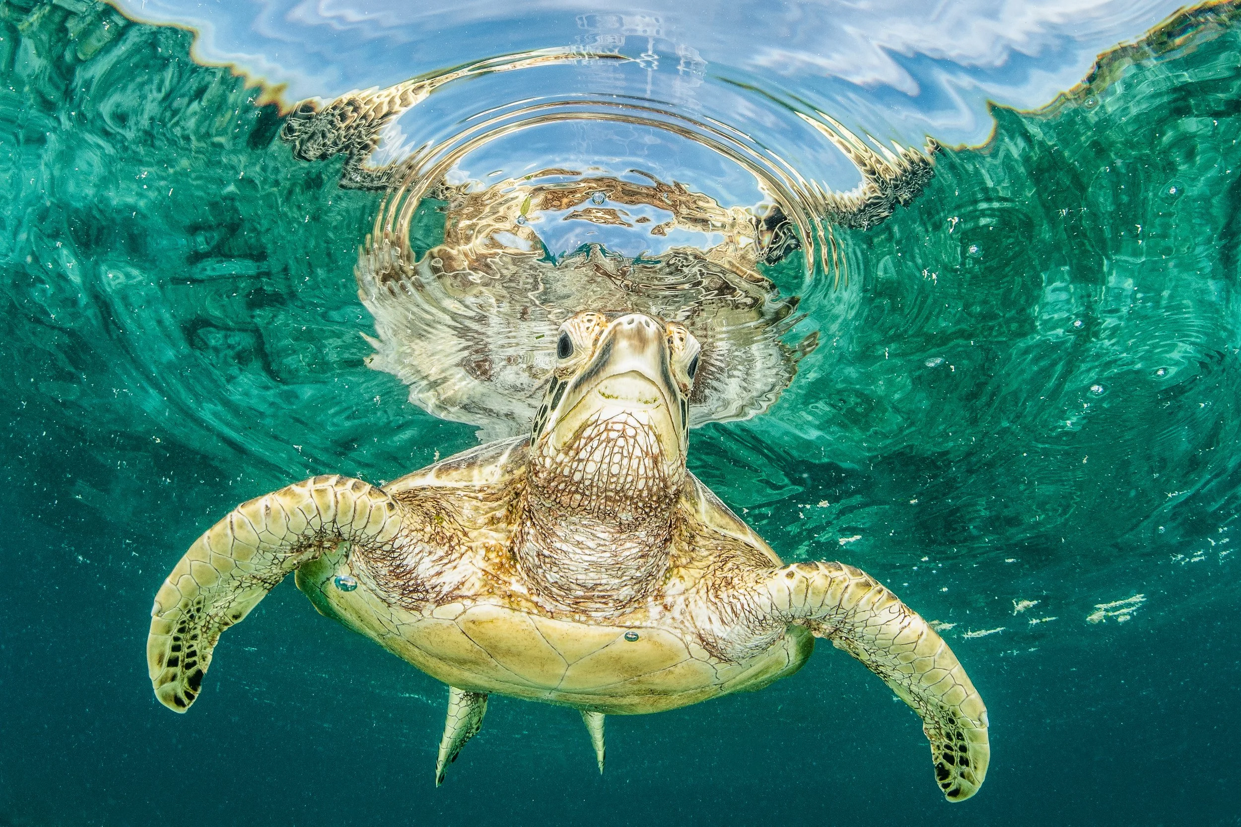 Catherine Holmes-20.jpg