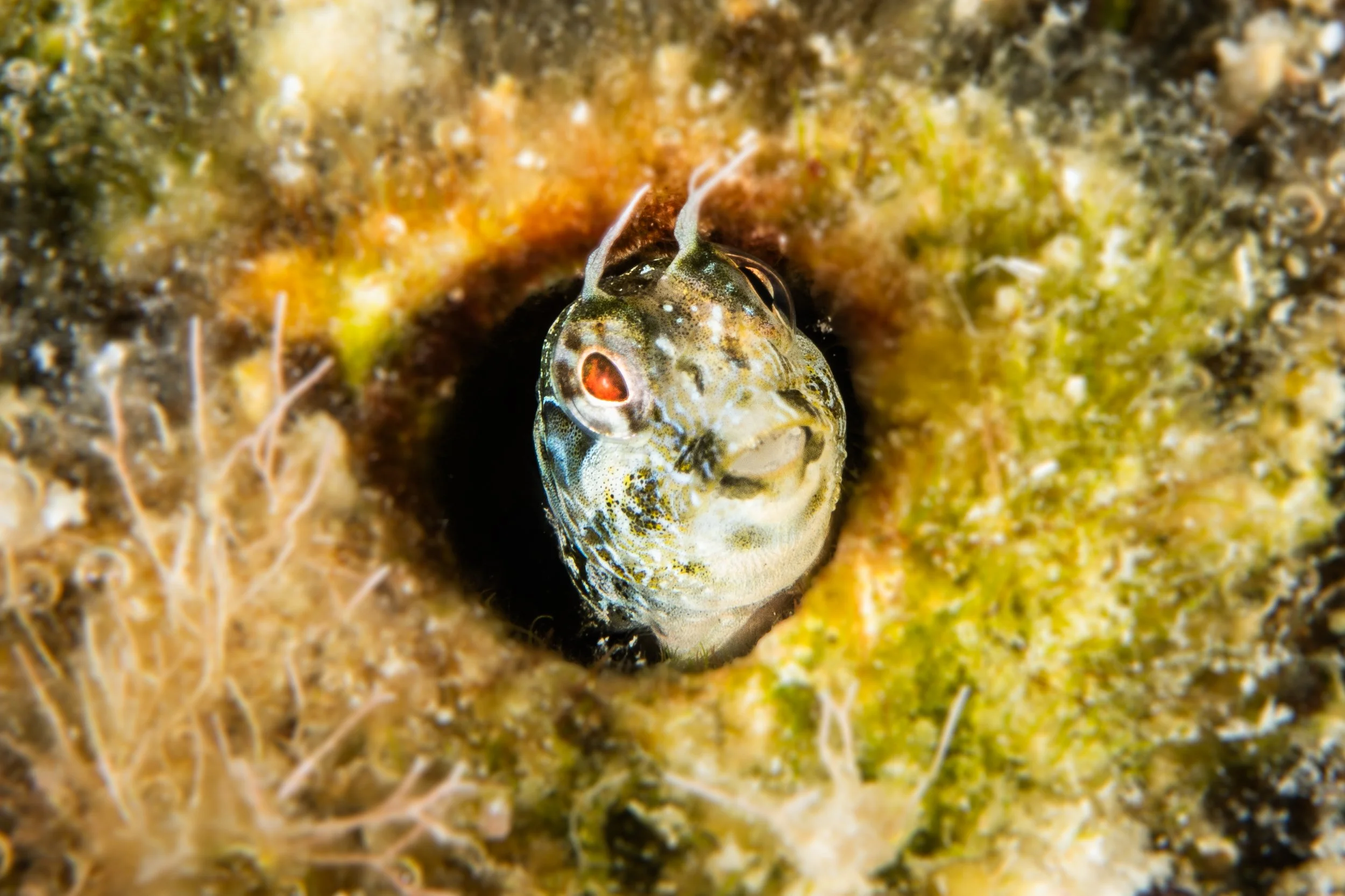 Catherine Holmes-35.jpg