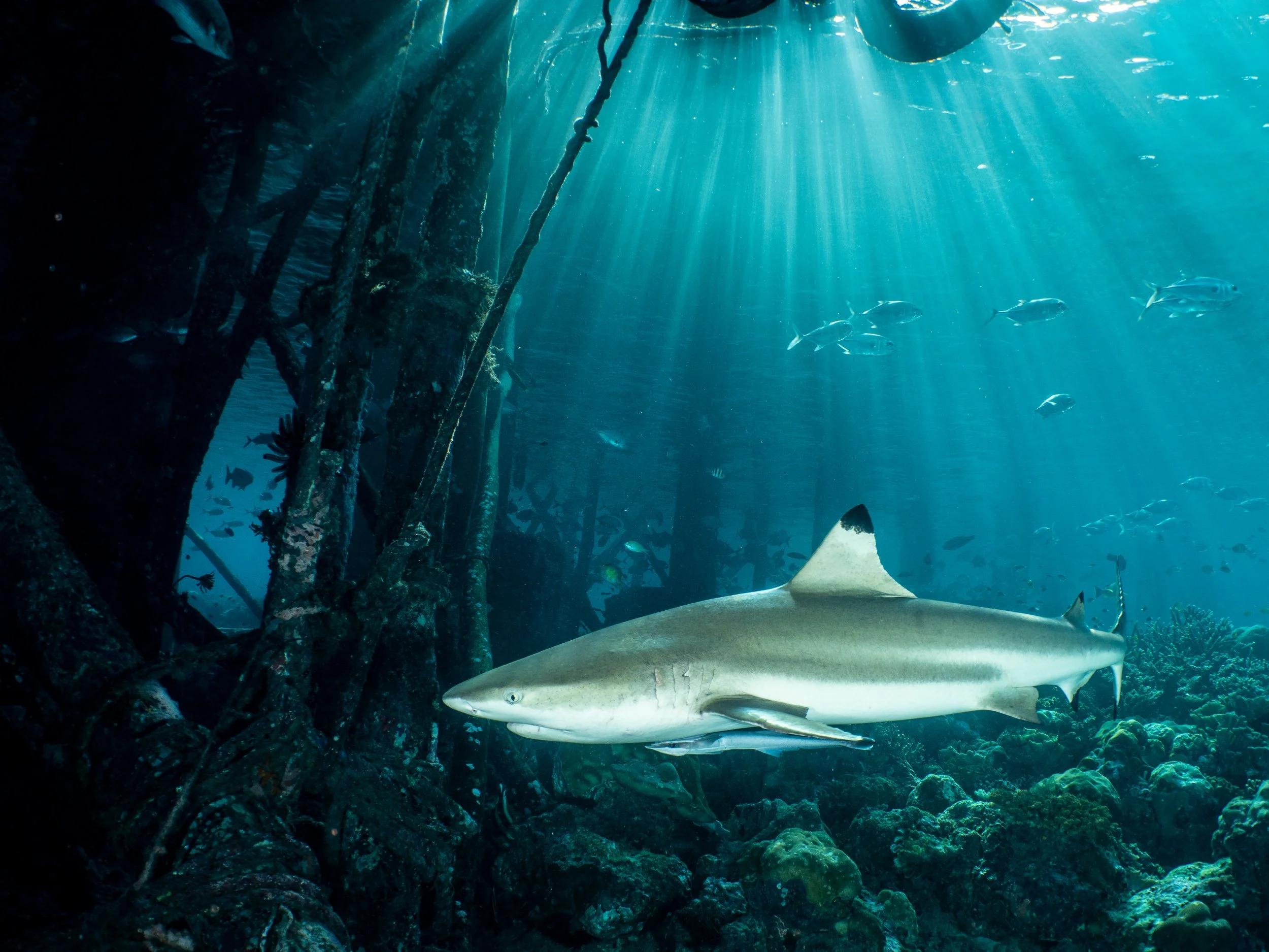 Catherine Holmes-13.jpg