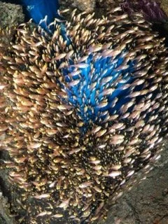 wide angle red sea-3 Small.jpeg