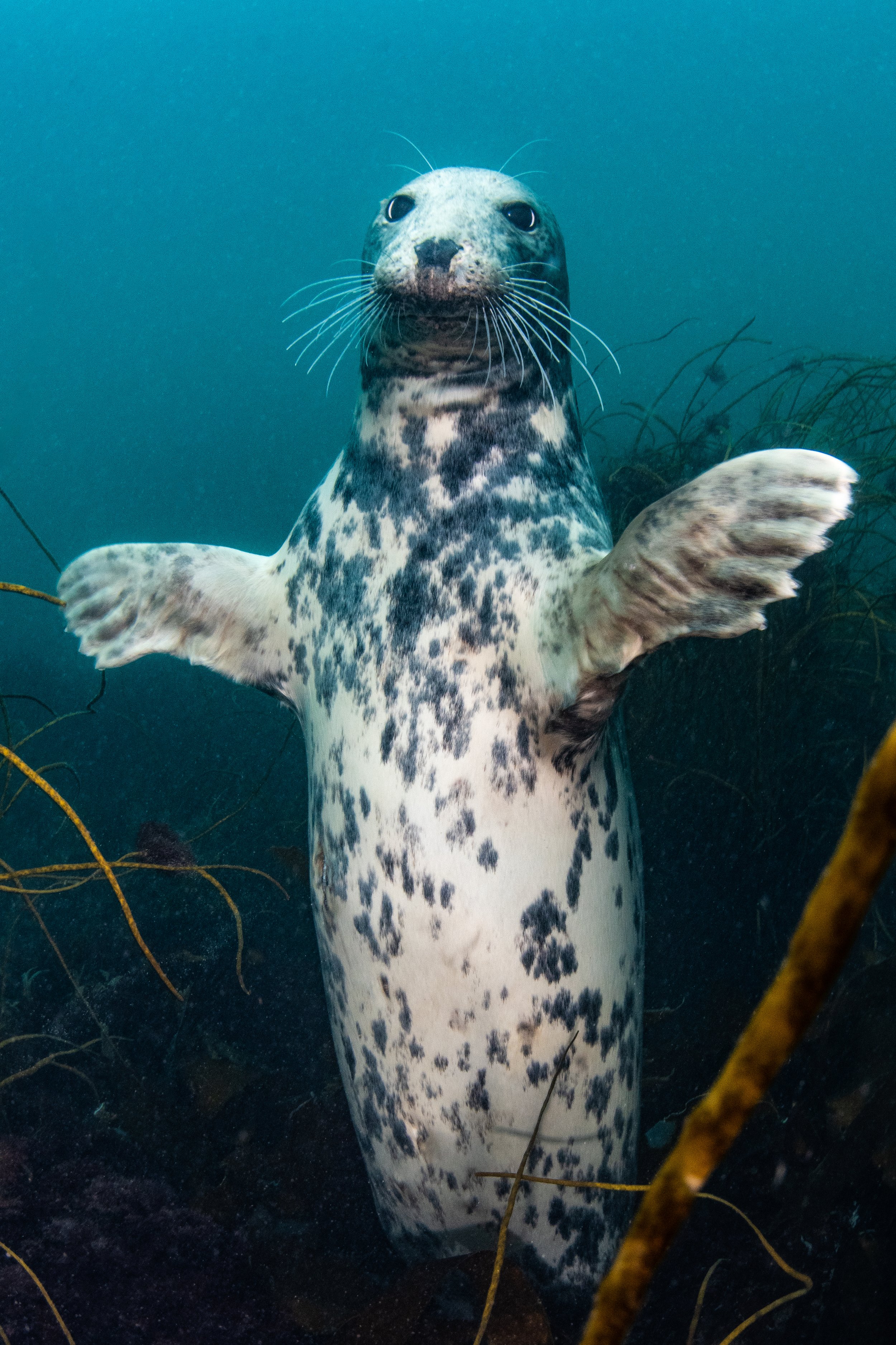 Catherine Holmes-8.jpg