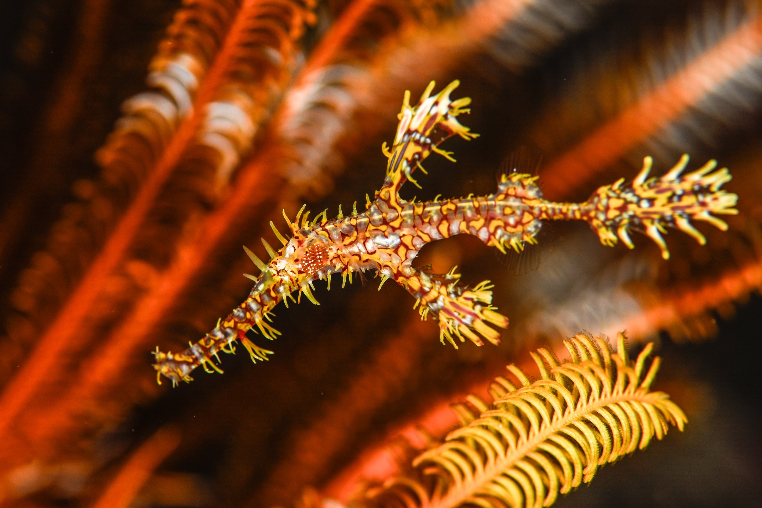 Catherine Holmes-28.jpg