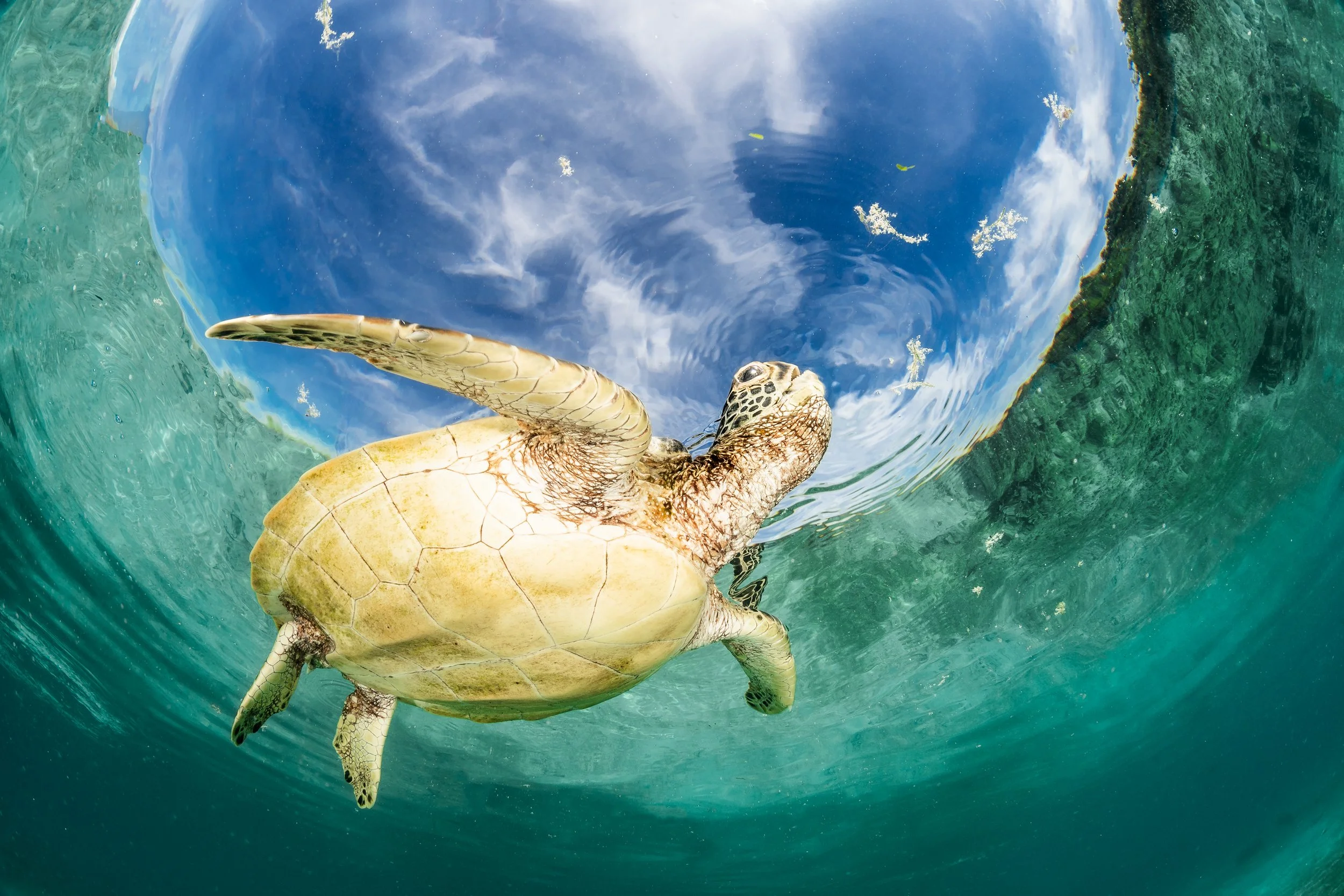 Catherine Holmes-19.jpg