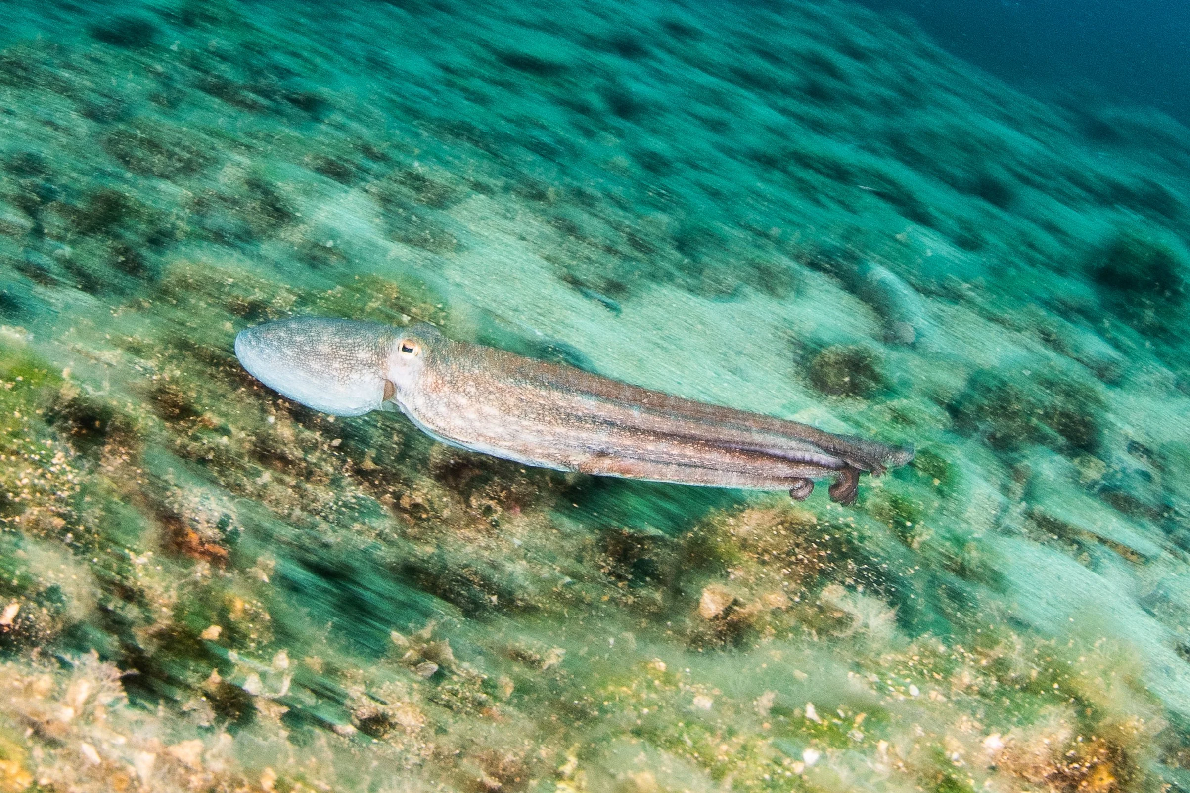 Catherine Holmes-28.jpg