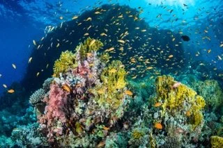 wide angle red sea Small.jpeg