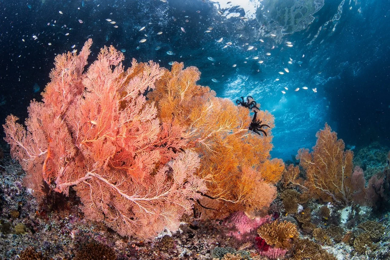 Catherine Holmes-43.jpg