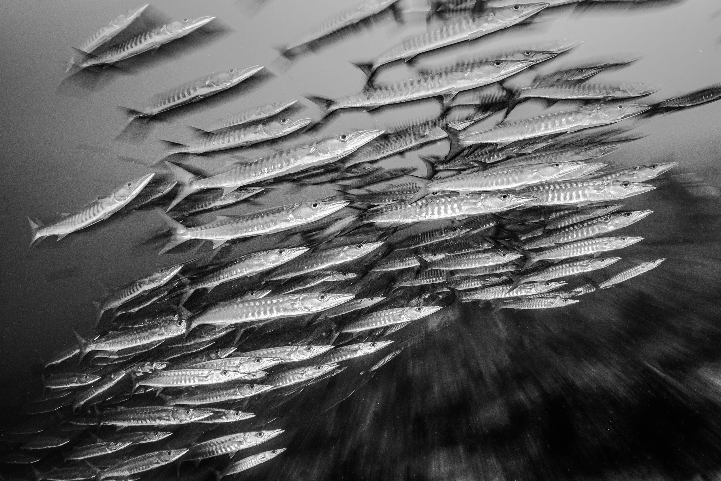 Catherine Holmes-41.jpg