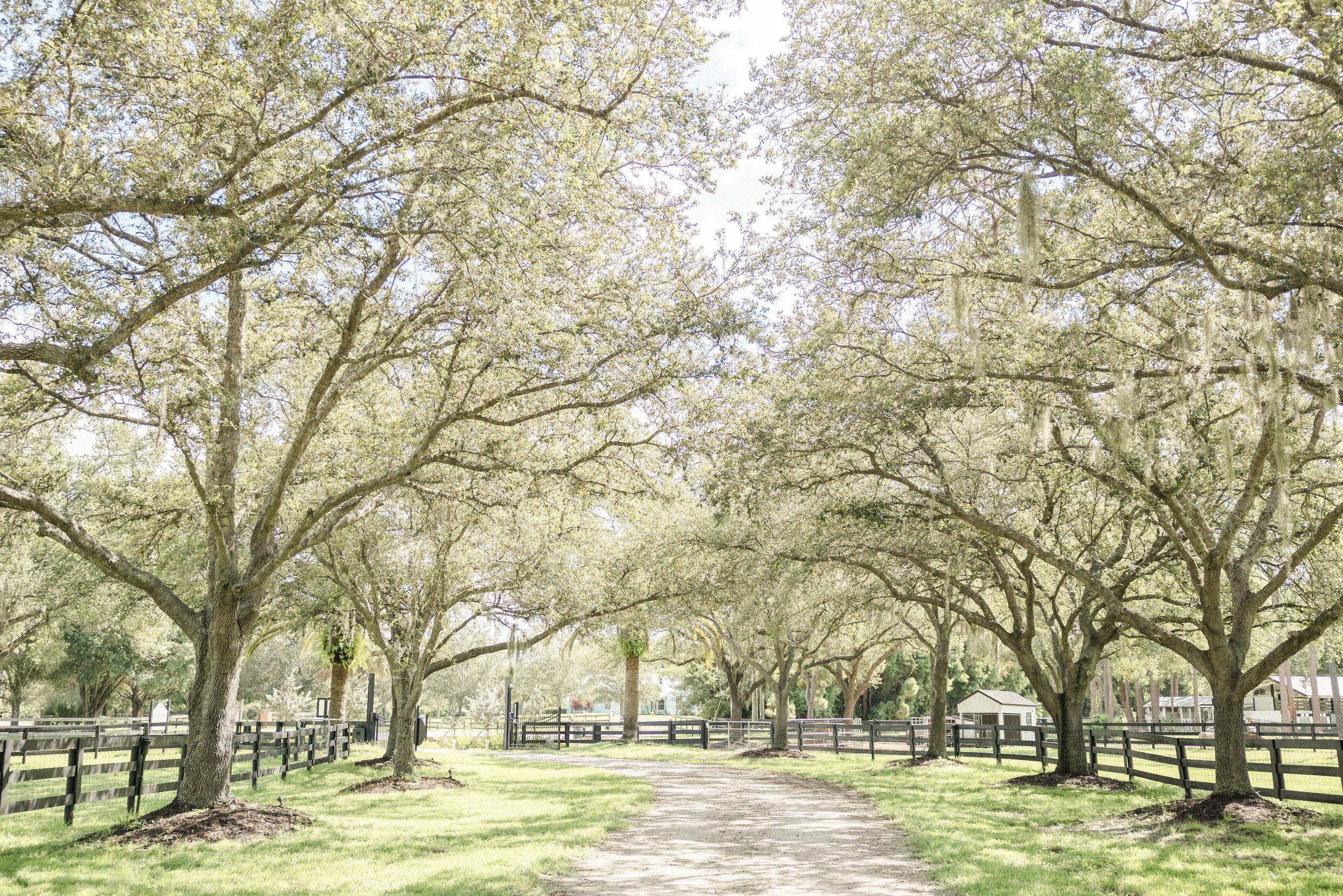 Farm Corporate Event at The Seven Oaks Ranch