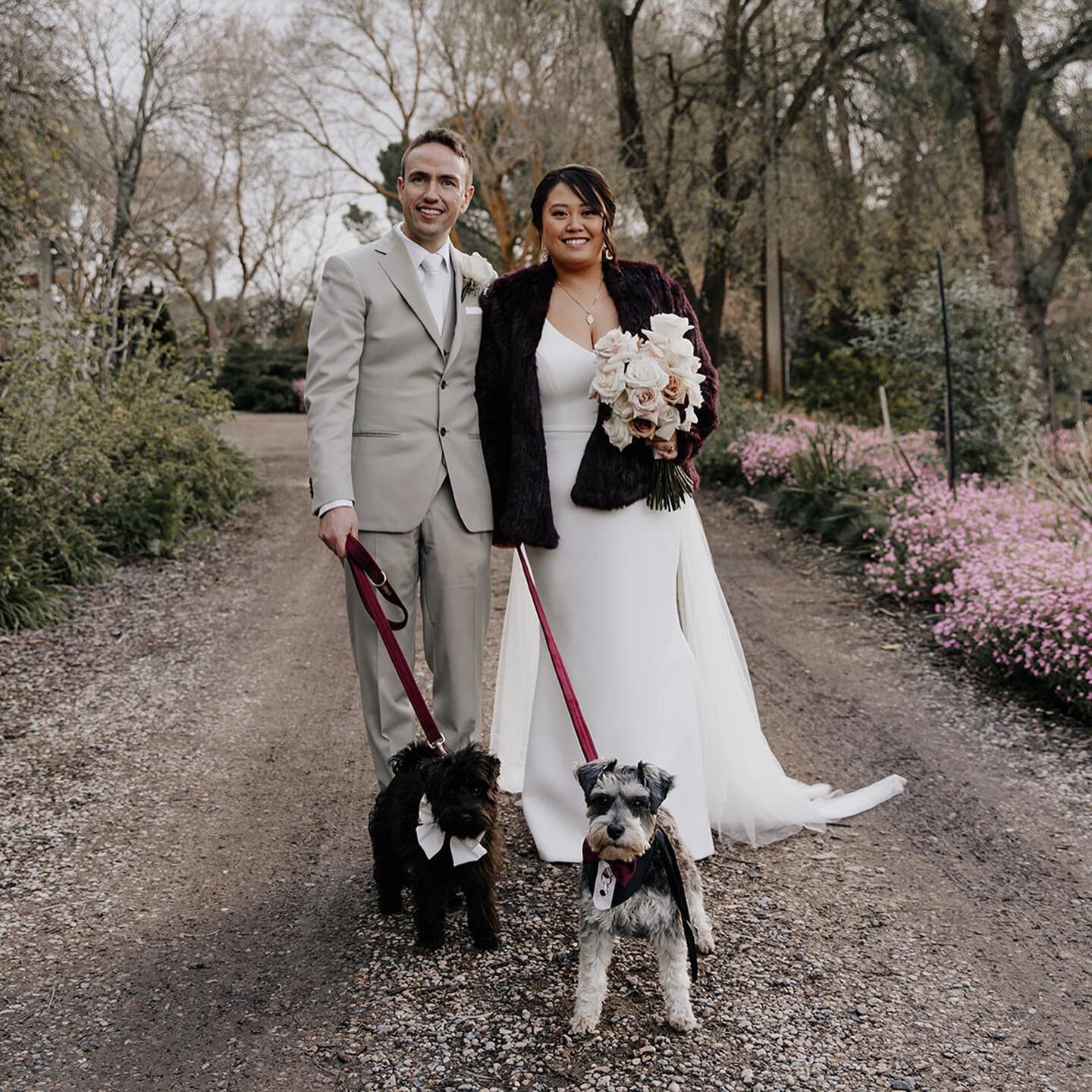 Hope and Steven 🤍 plus their beautiful doggies too 😍

This resilient couple dealt with a postponement, borders closing and rain leading up to their day.

But the clouds parted just in time for their beautiful ceremony at alru farm! 

Swipe 👉🏼 to 