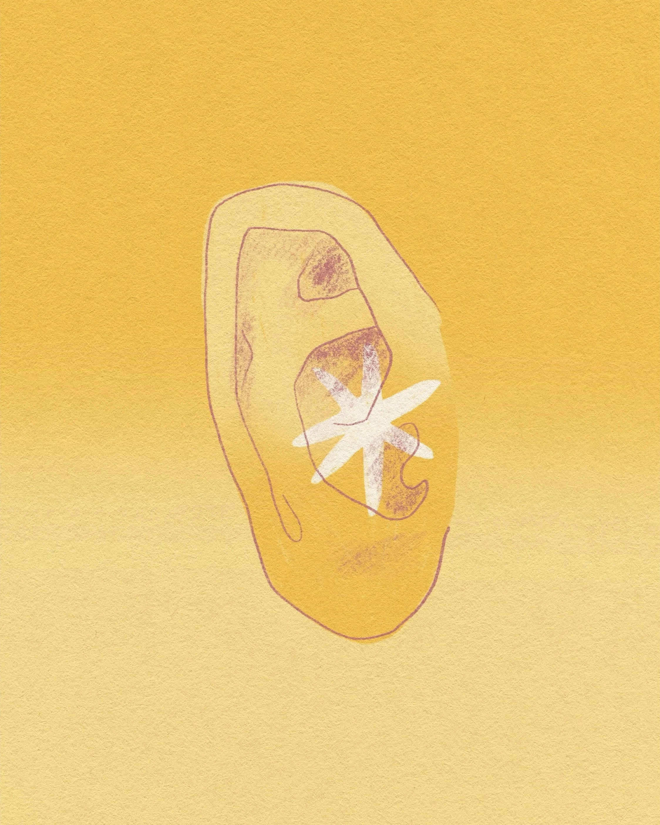 Line drawing of an ear with a white star shape in the centre, on a yellow background.