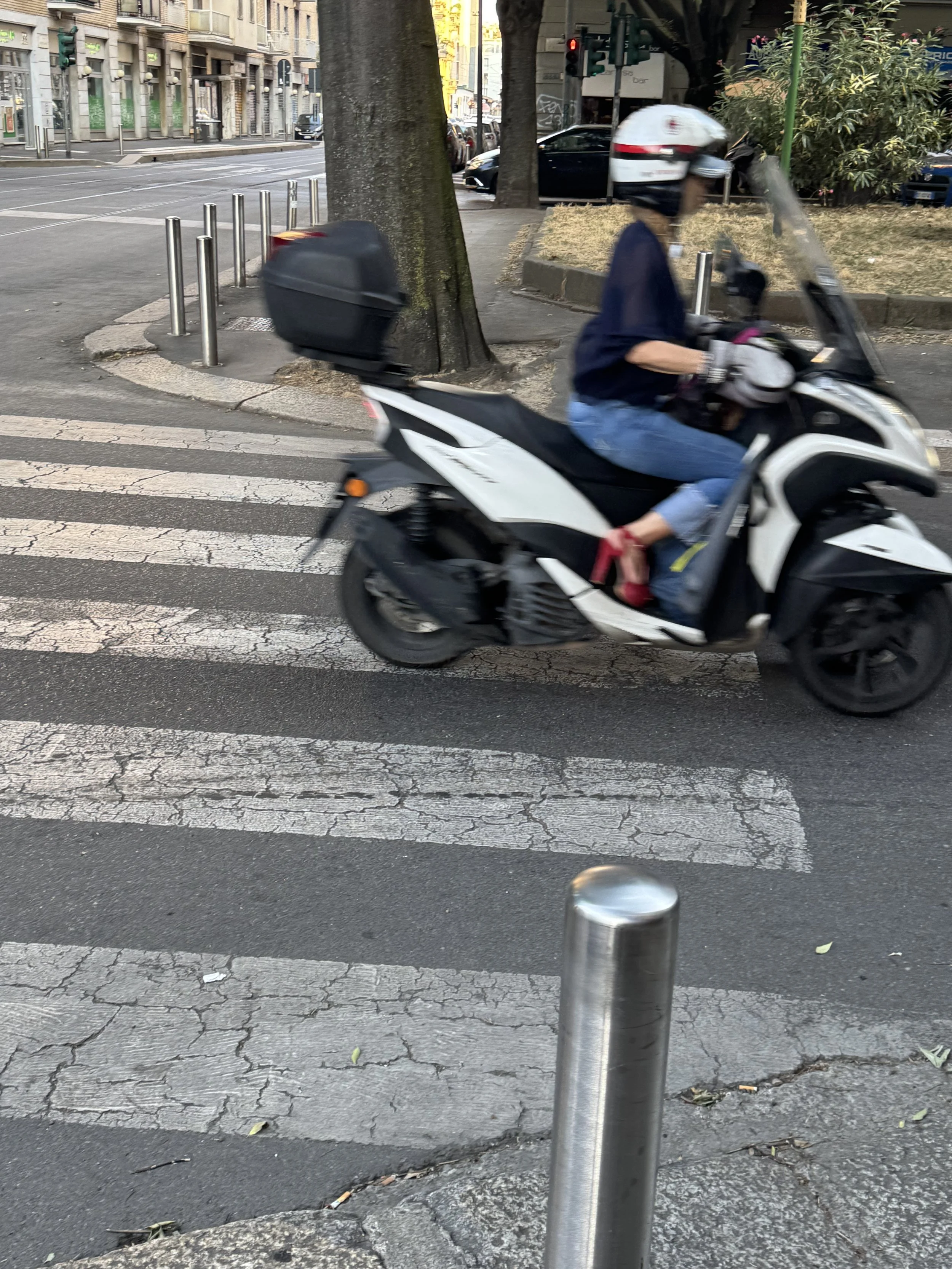 IMG_7132.jpeg