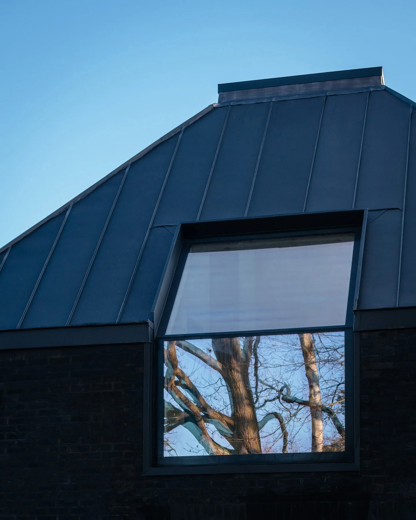 Close-up of a modern building with a metal roof and large window reflecting trees against a blue sky.