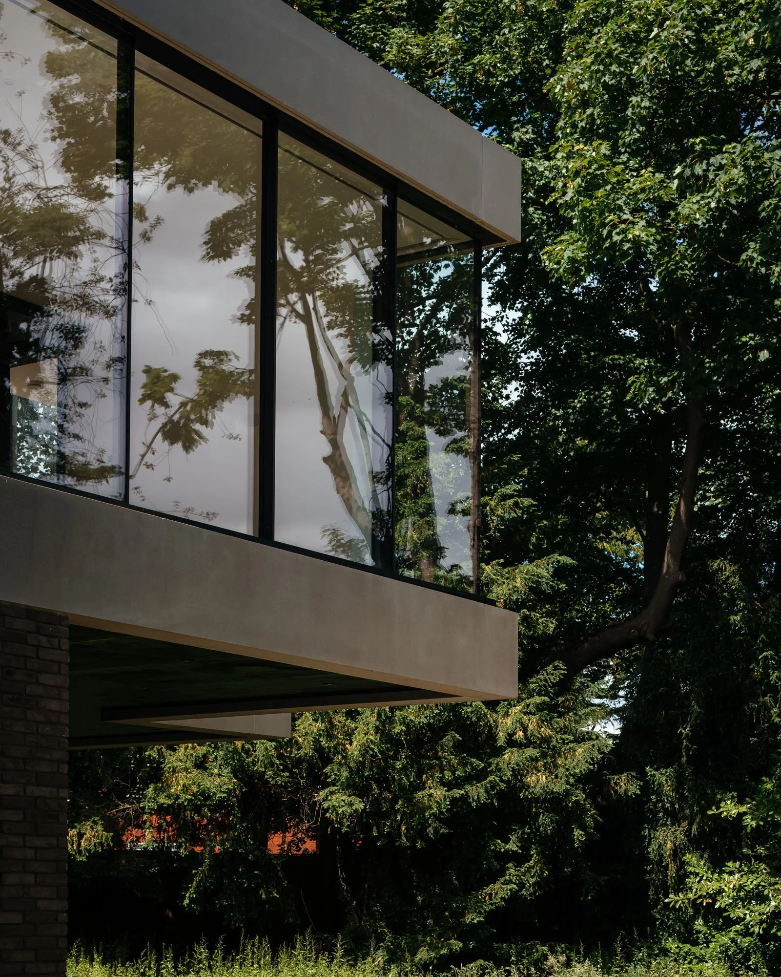 Modern house with large glass windows reflecting trees, set among tall green trees and foliage.