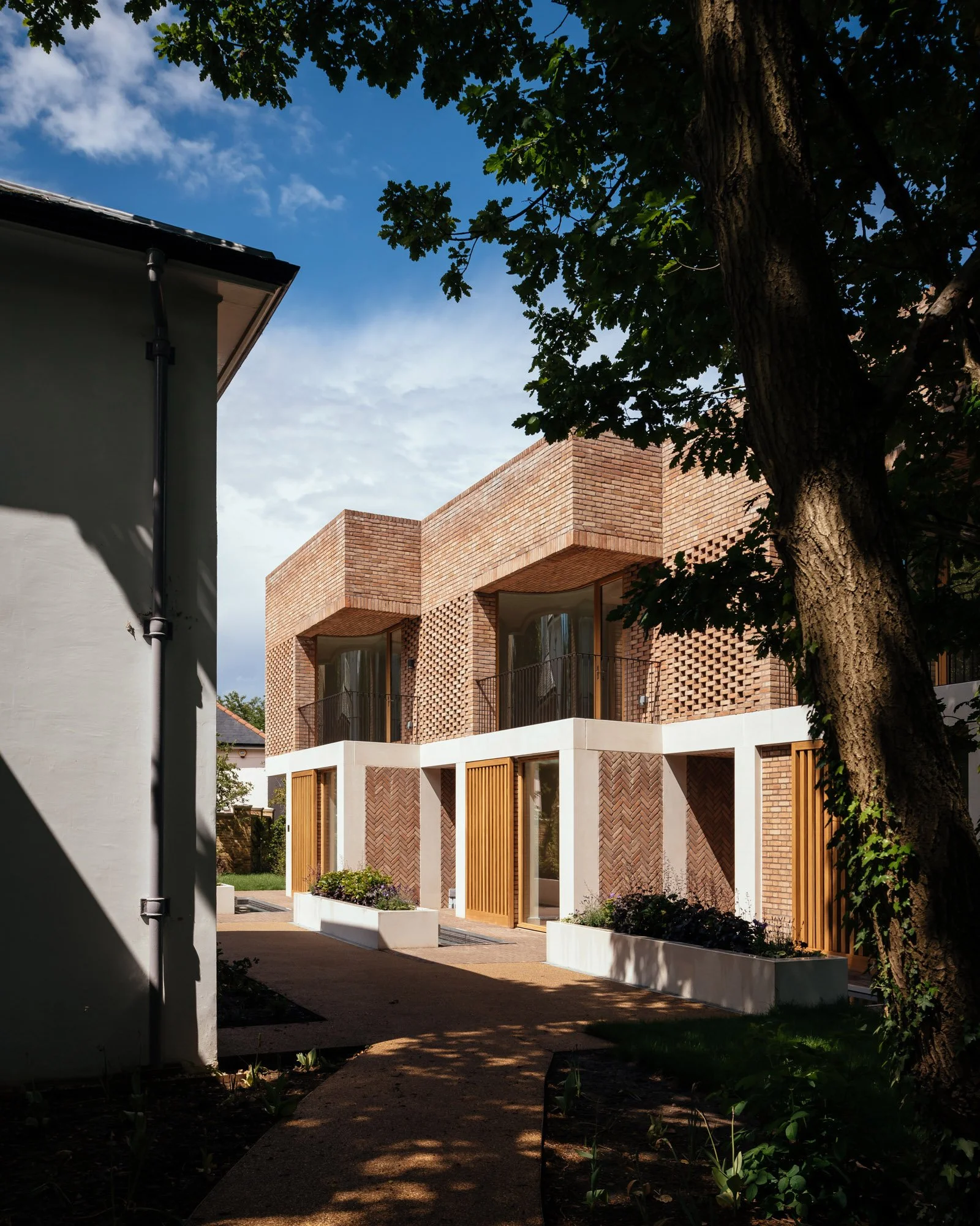 TerraceHouses_6_CarterFleming.jpg