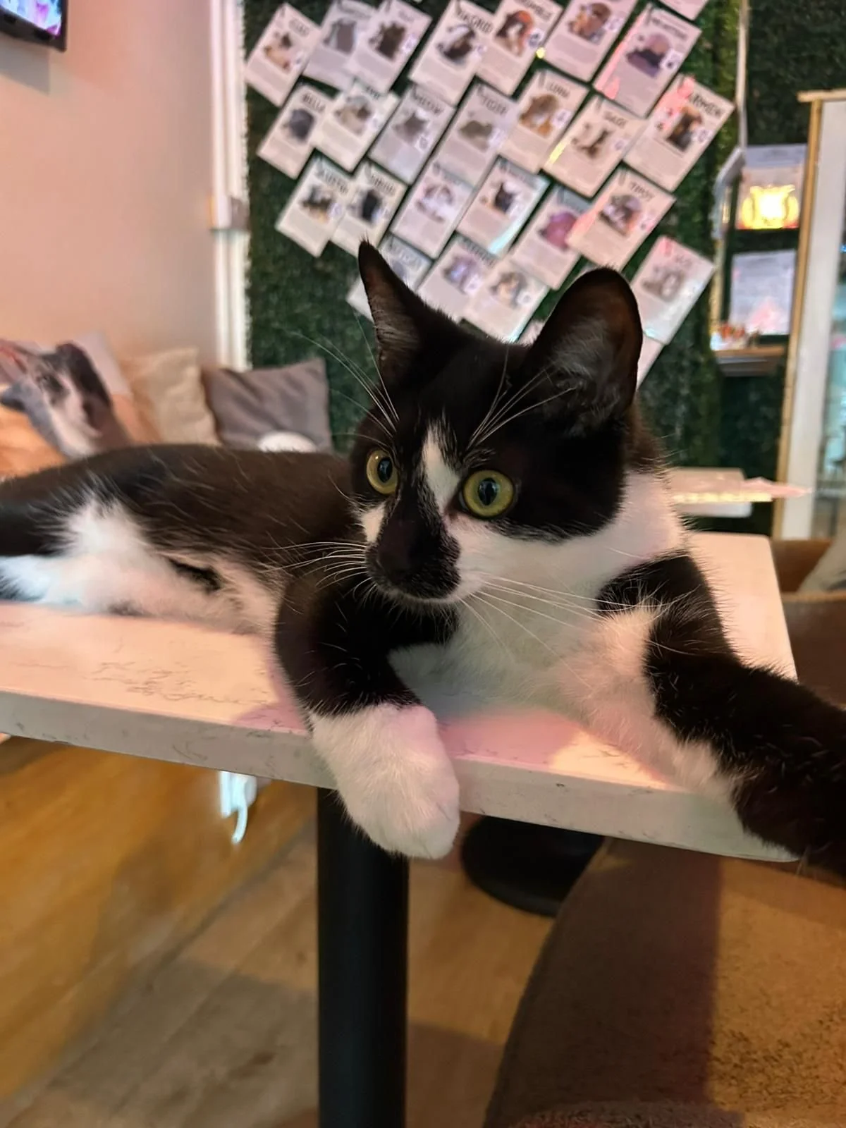 WhatsApp Image 2025-08-05 at 19.08.50 (1).jpeg