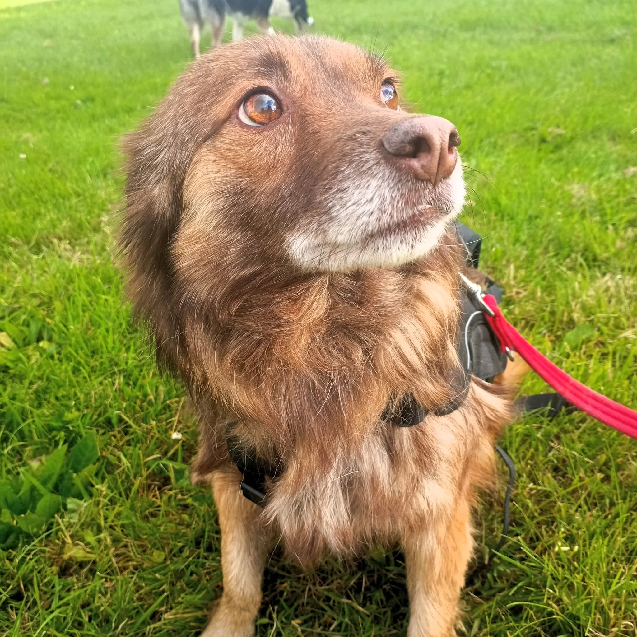 WhatsApp Image 2024-07-22 at 19.37.43.jpeg