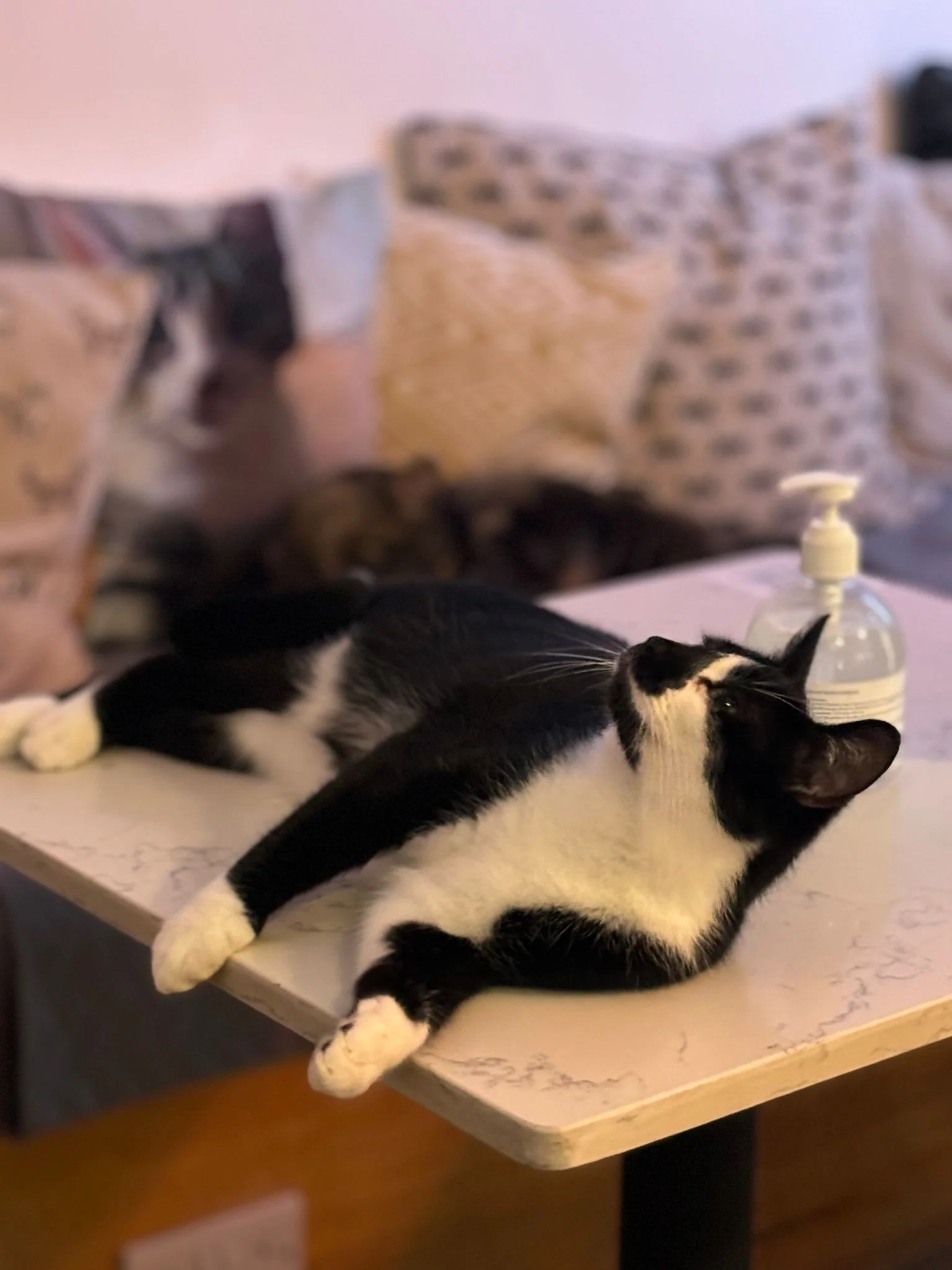 WhatsApp Image 2025-07-30 at 15.01.50.jpeg