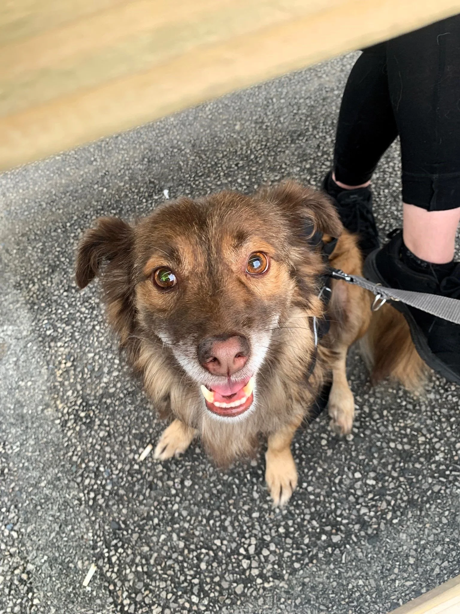 WhatsApp Image 2024-07-22 at 19.32.43 (3).jpeg