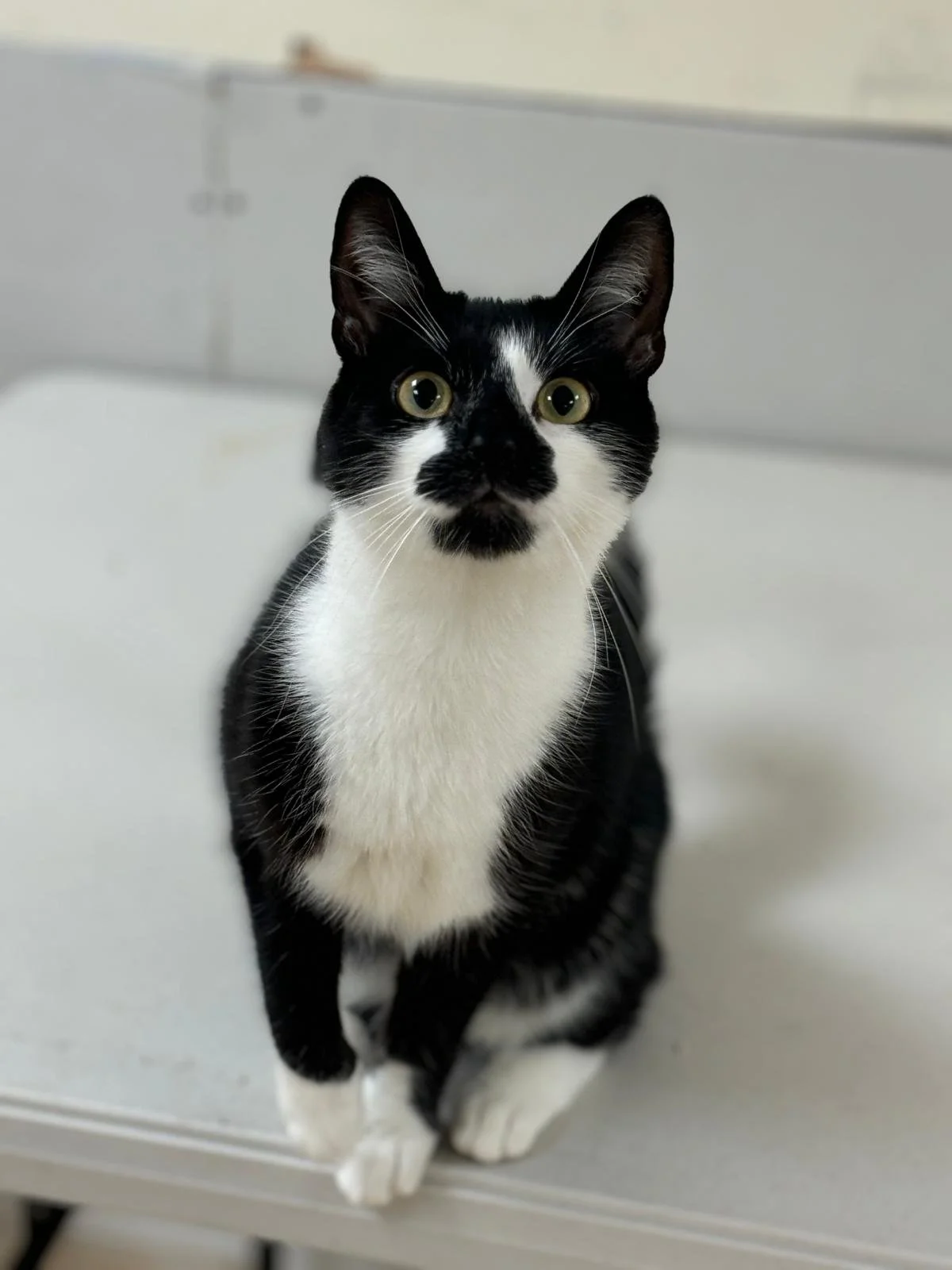 WhatsApp Image 2025-06-25 at 12.58.17.jpeg