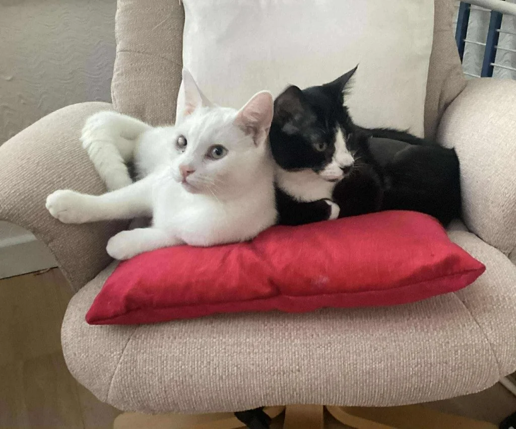 Monty & Luna, March 2026
