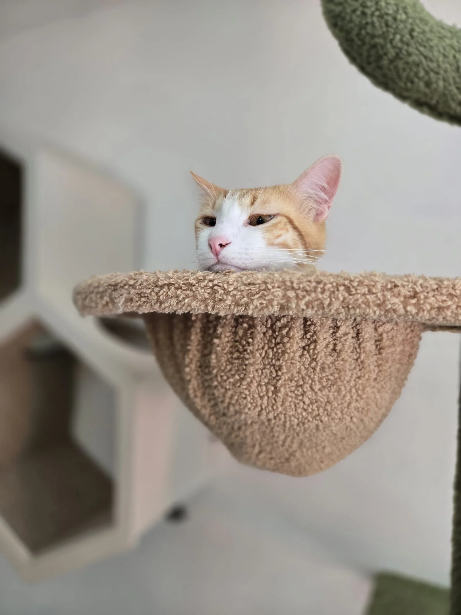 WhatsApp Image 2025-07-30 at 15.01.53 (2).jpeg