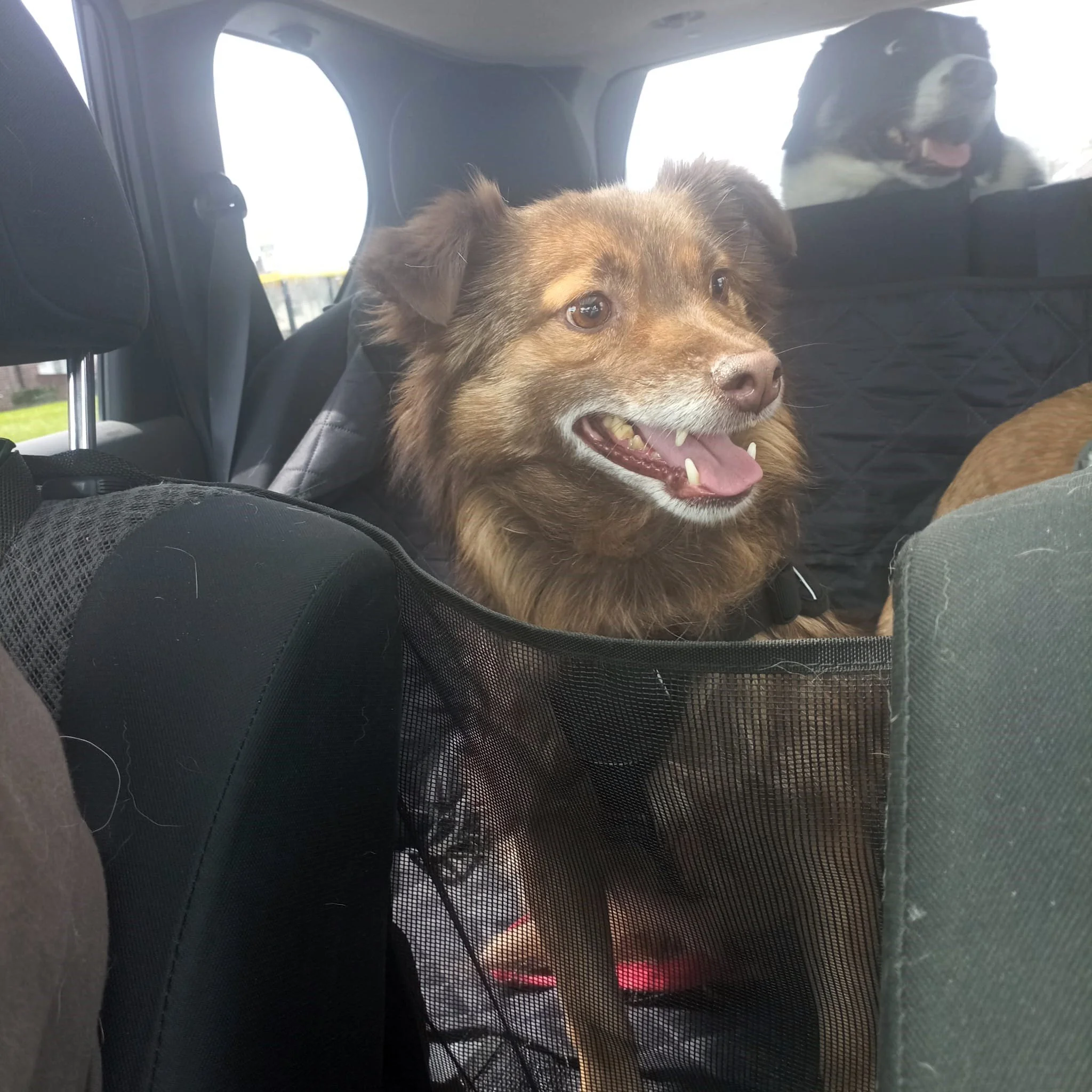 WhatsApp Image 2024-07-22 at 19.37.42.jpeg