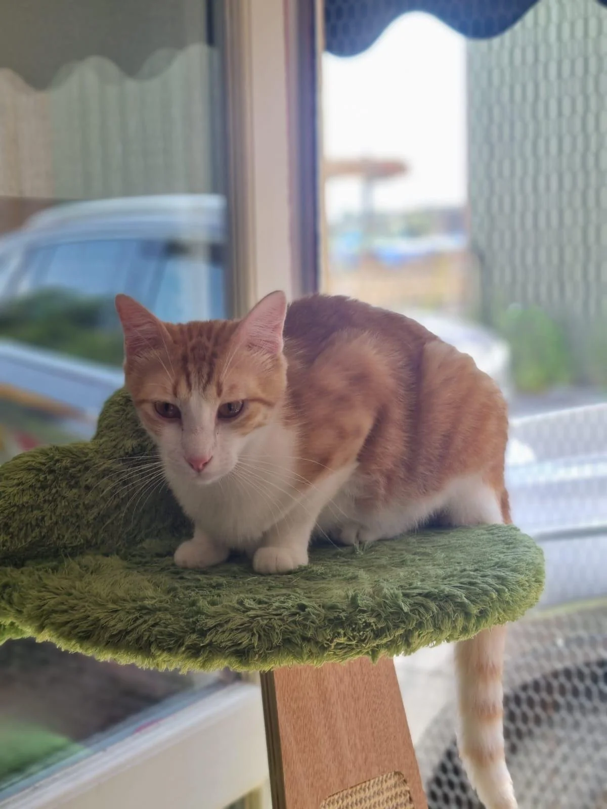 WhatsApp Image 2025-06-25 at 15.18.50 (3).jpeg