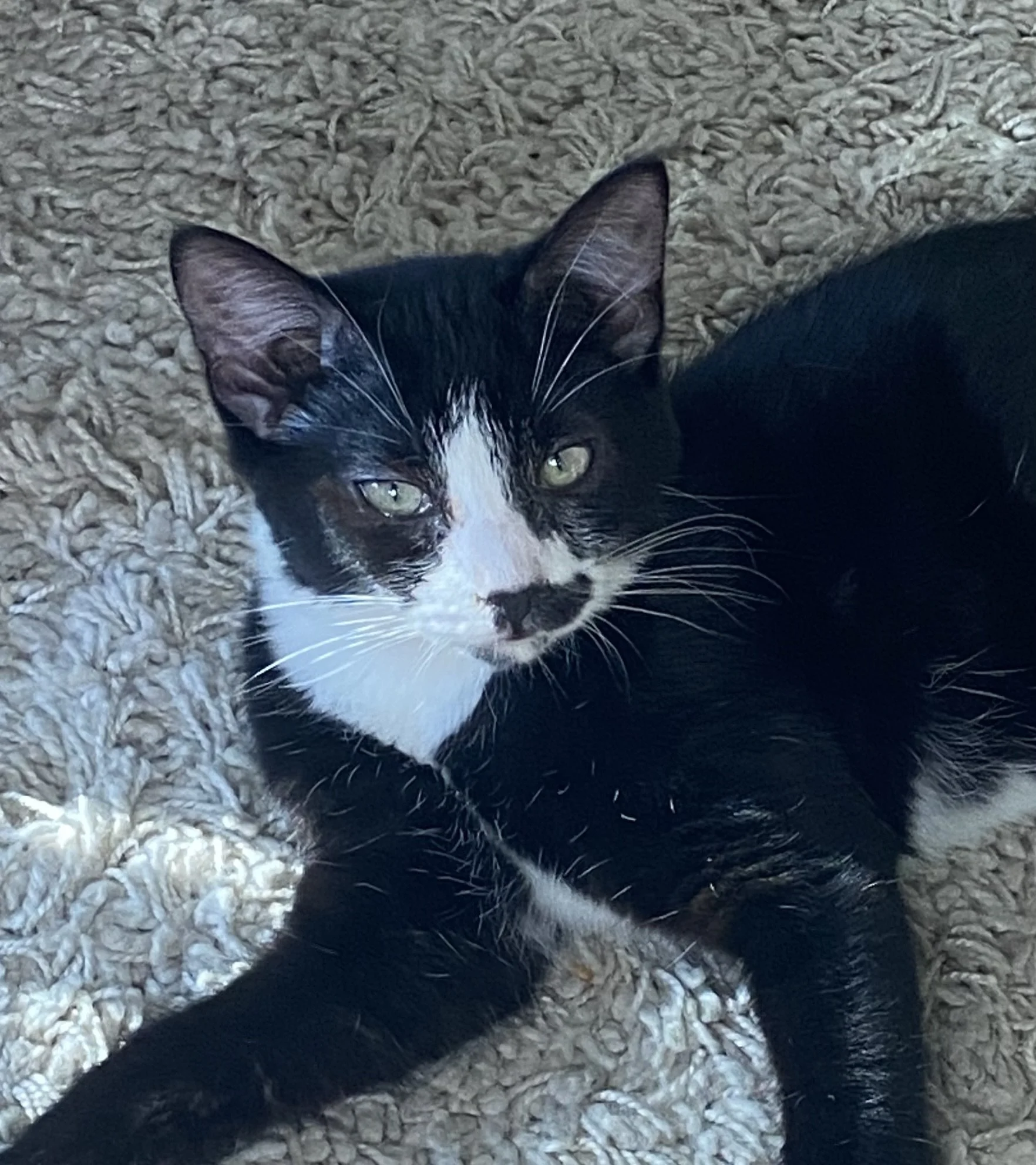 FullSizeRender (1).jpeg