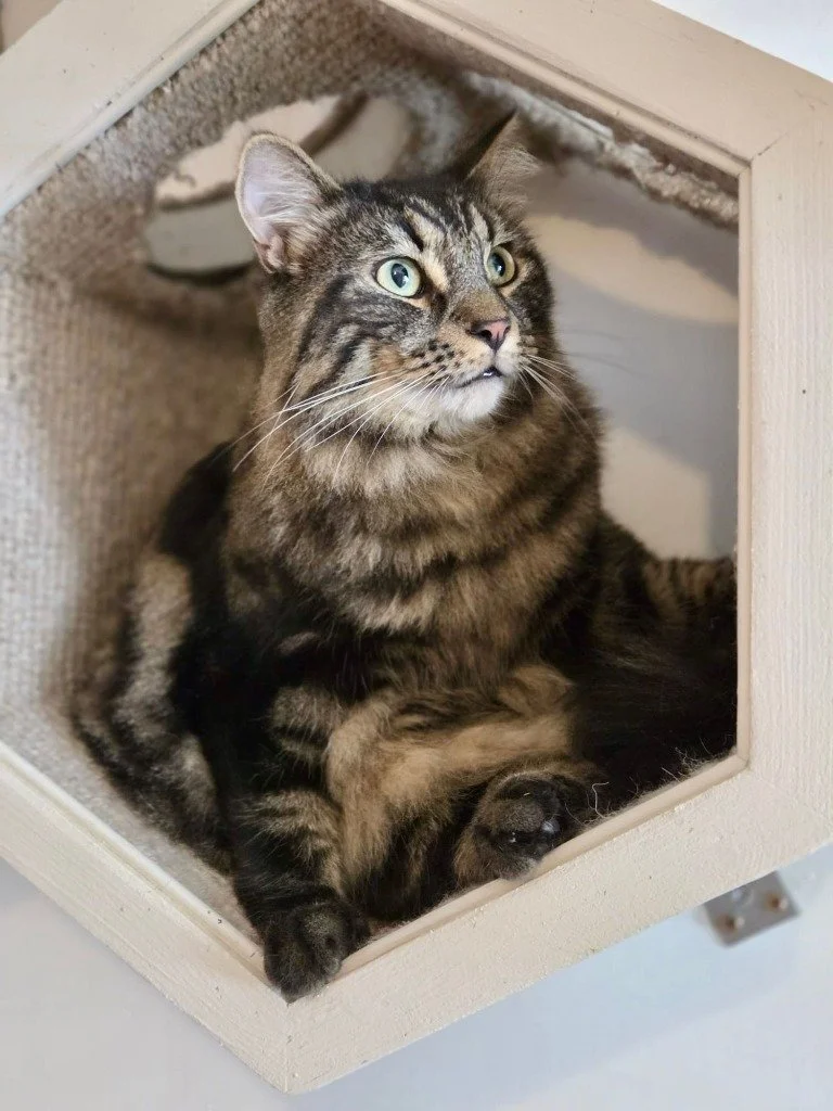 Harry, November 2025