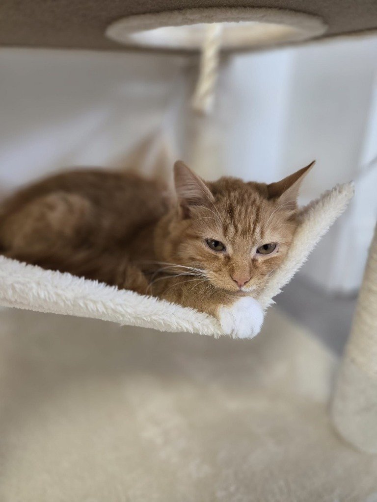 Quaver, December 2025