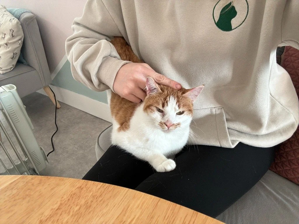 Maisey, February 2026