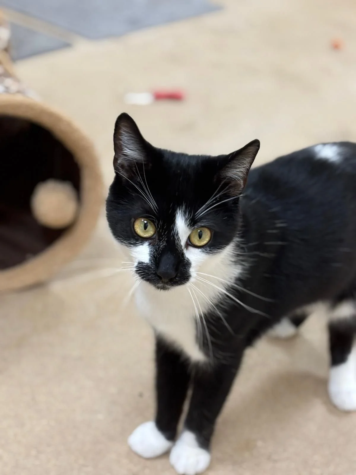 WhatsApp Image 2025-07-30 at 15.01.54.jpeg