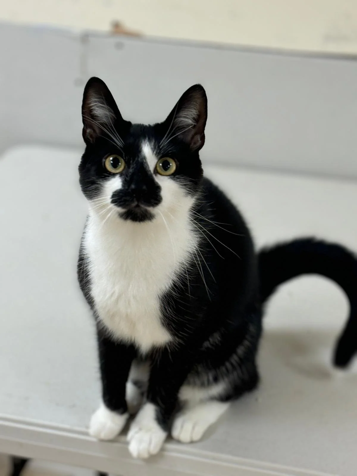 WhatsApp Image 2025-06-25 at 12.58.16 (6).jpeg