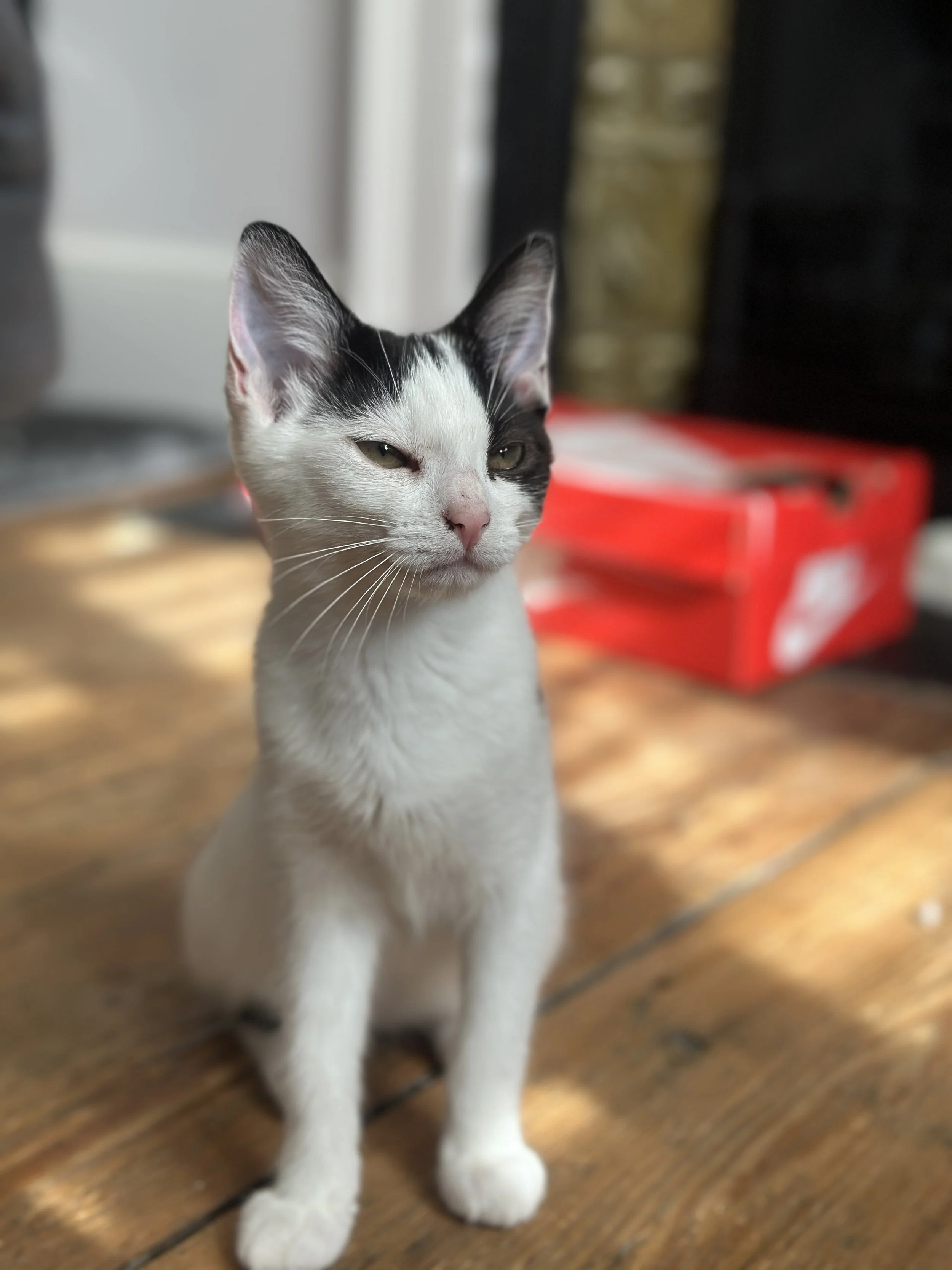IMG_3879.jpg