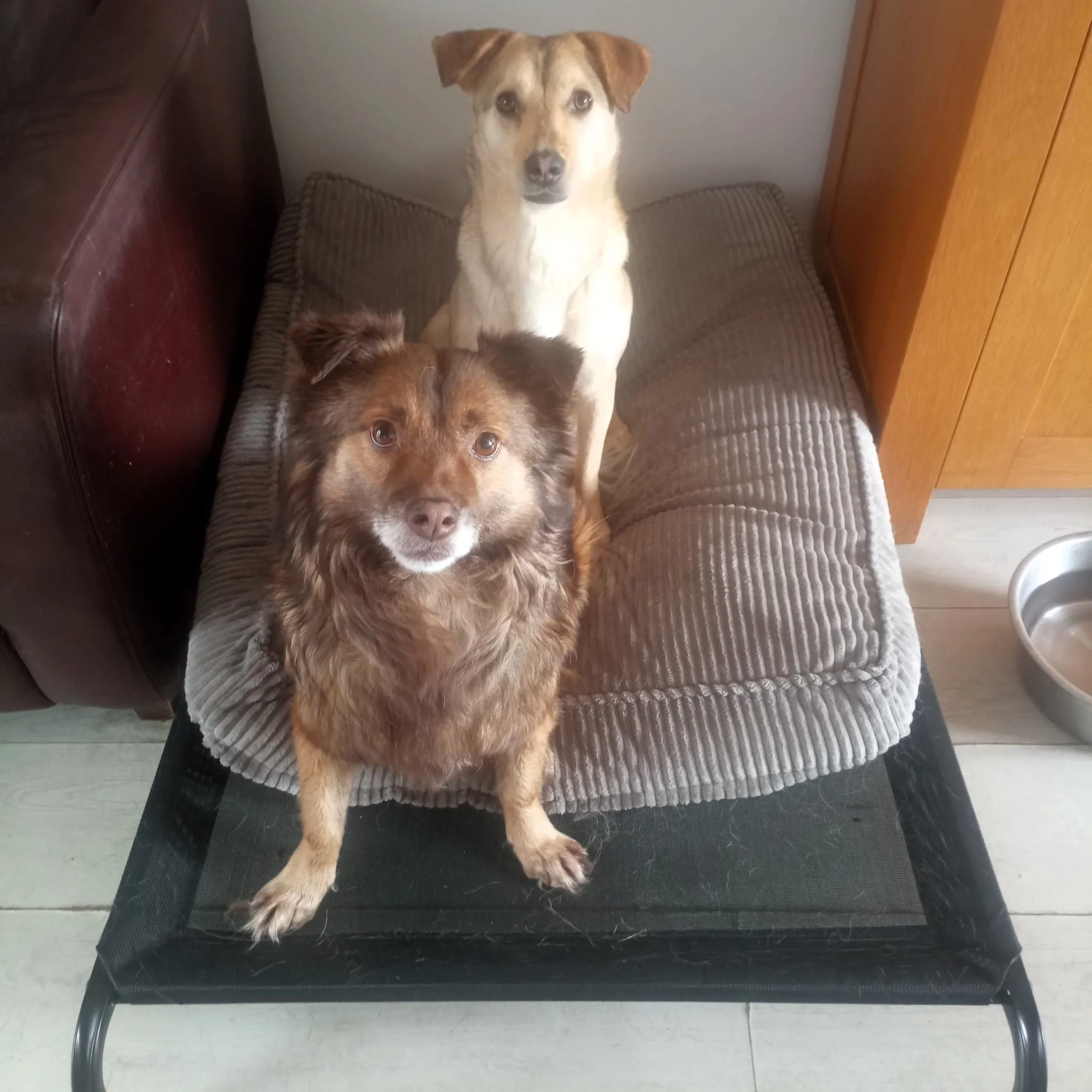 WhatsApp Image 2024-07-22 at 19.38.16.jpeg