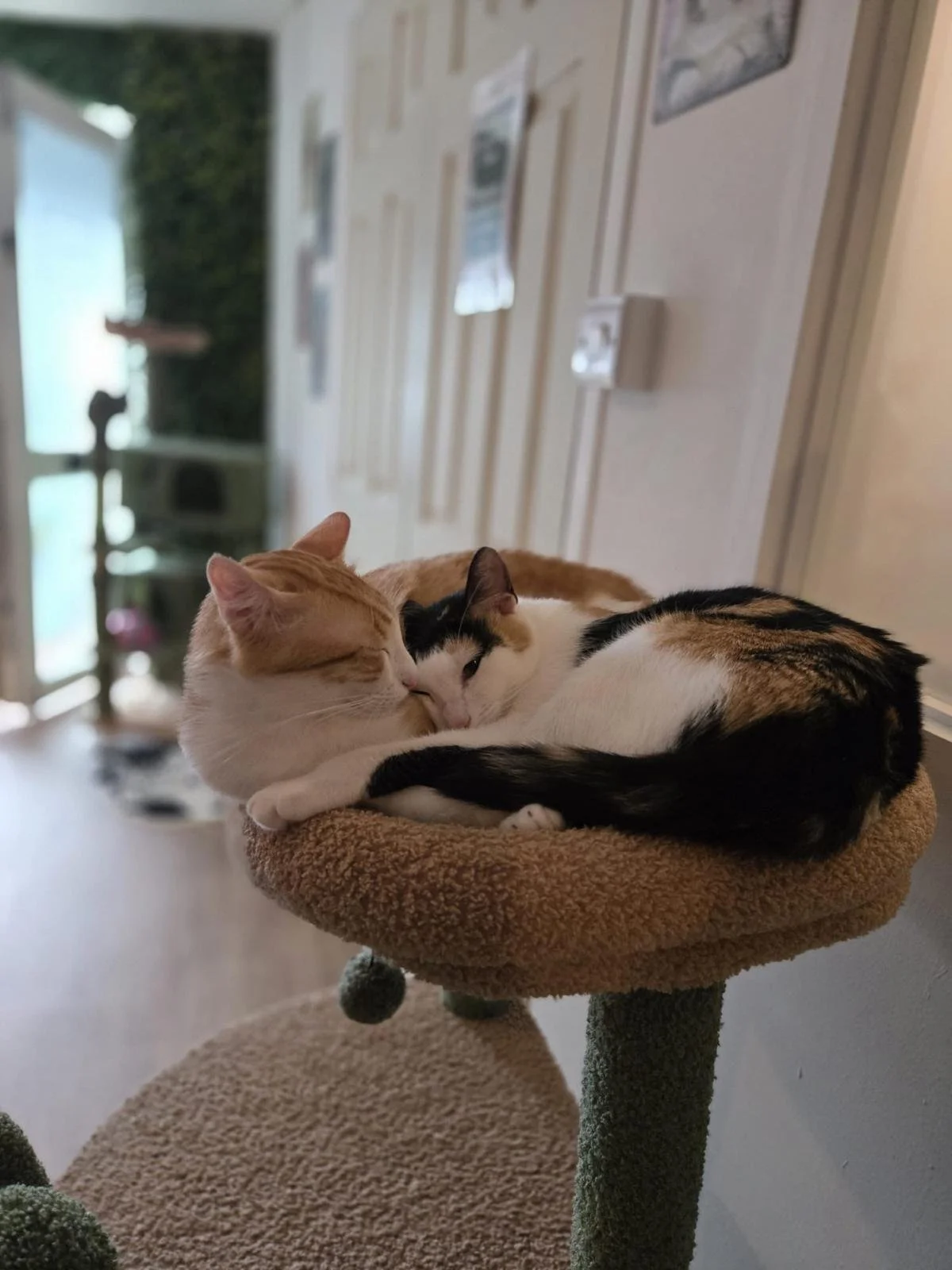 WhatsApp Image 2025-08-05 at 13.44.30 (1).jpeg