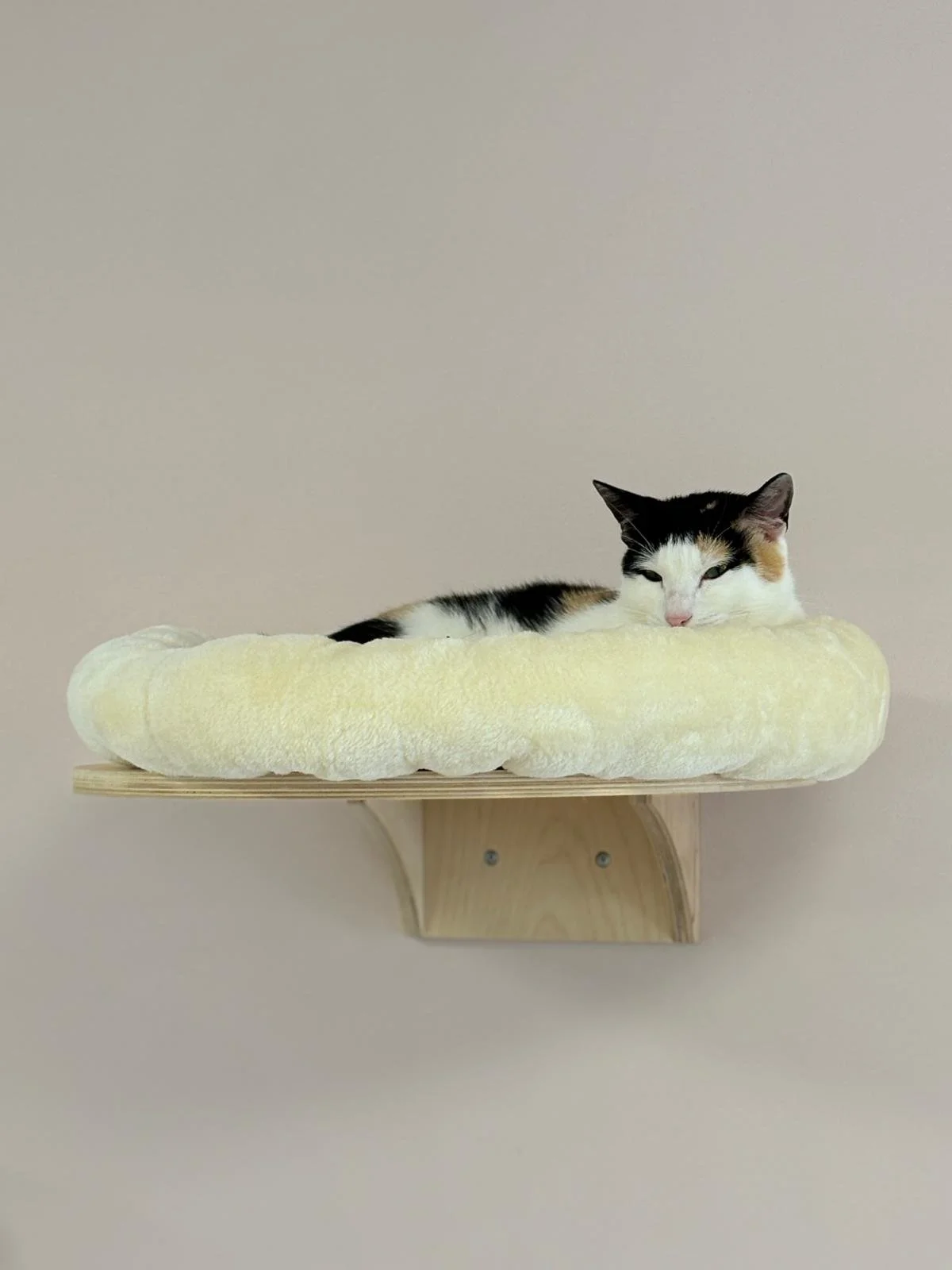 WhatsApp Image 2025-09-11 at 16.01.54 (2).jpeg