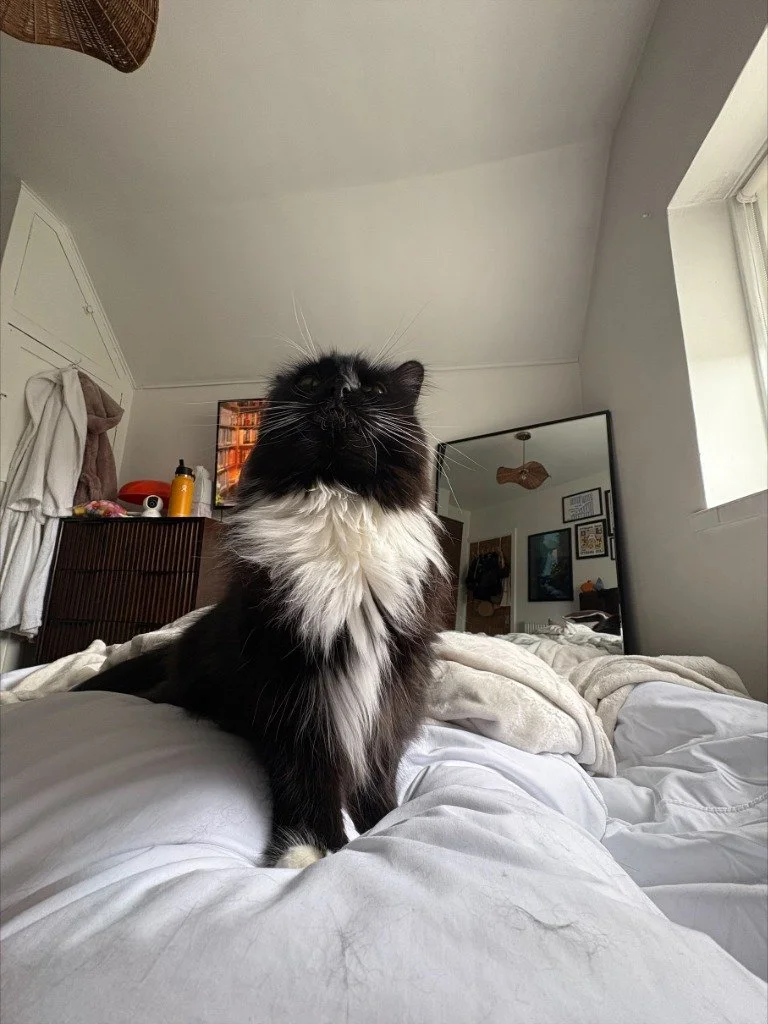 Calliope, February 2026