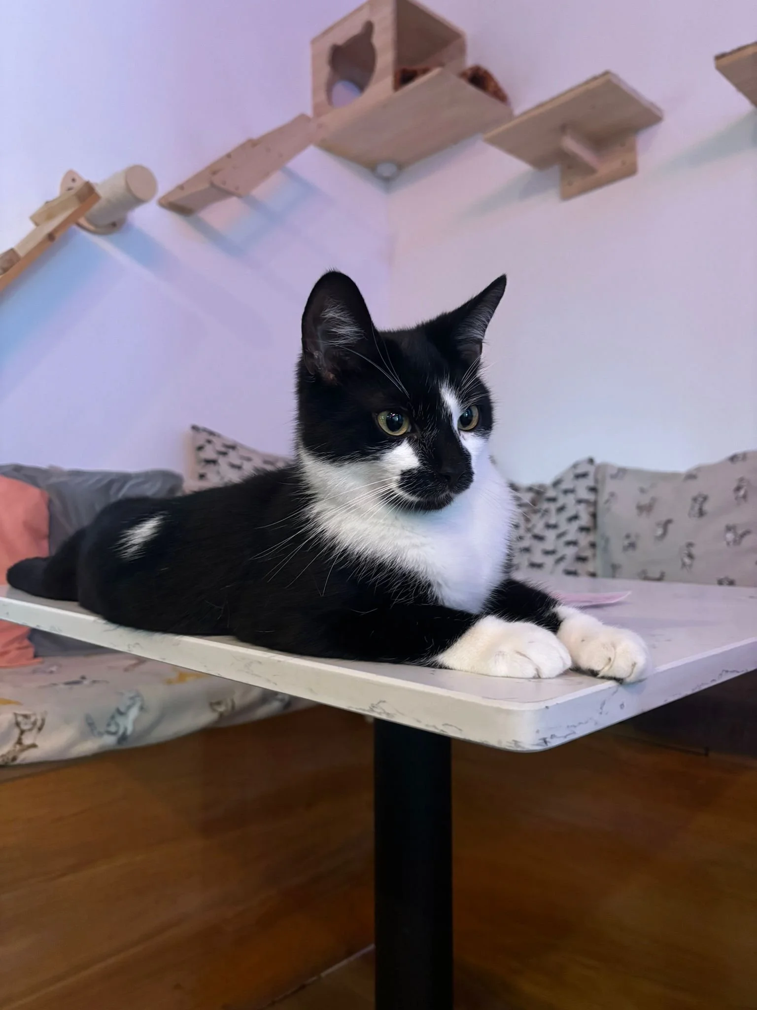 WhatsApp Image 2025-07-30 at 15.01.50 (3).jpeg