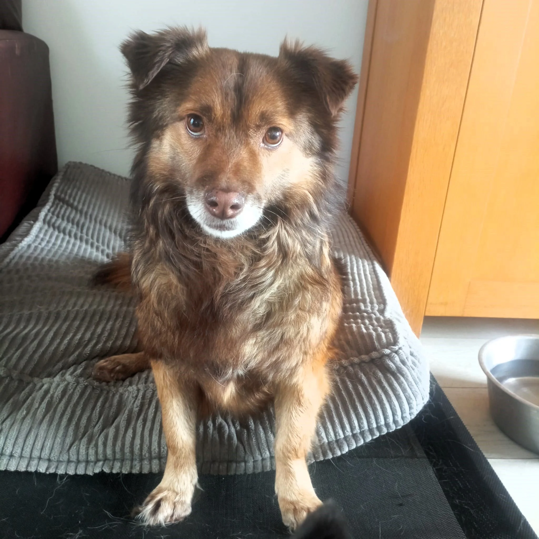 WhatsApp Image 2024-07-22 at 19.38.13.jpeg