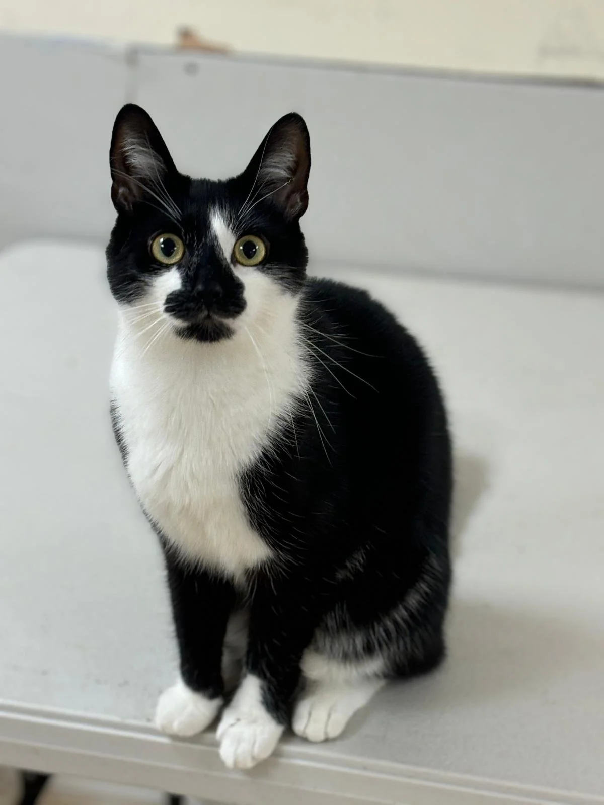 WhatsApp Image 2025-06-25 at 12.58.16 (5).jpeg