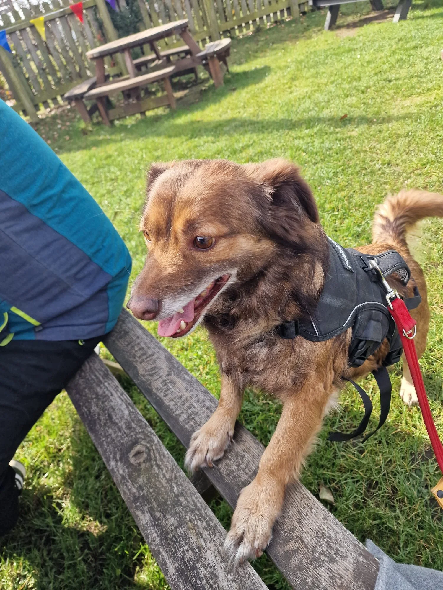 WhatsApp Image 2025-03-23 at 14.29.33 (1).jpeg