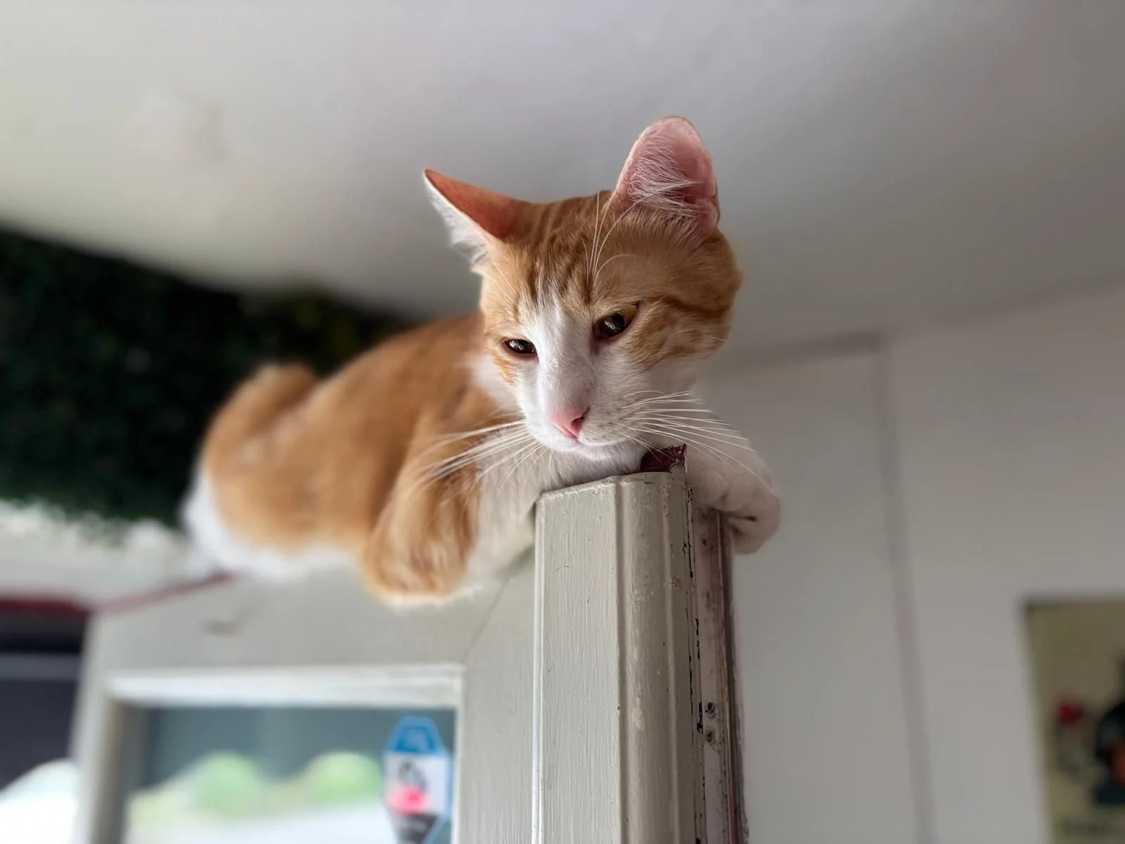 WhatsApp Image 2025-07-30 at 15.01.51 (3).jpeg